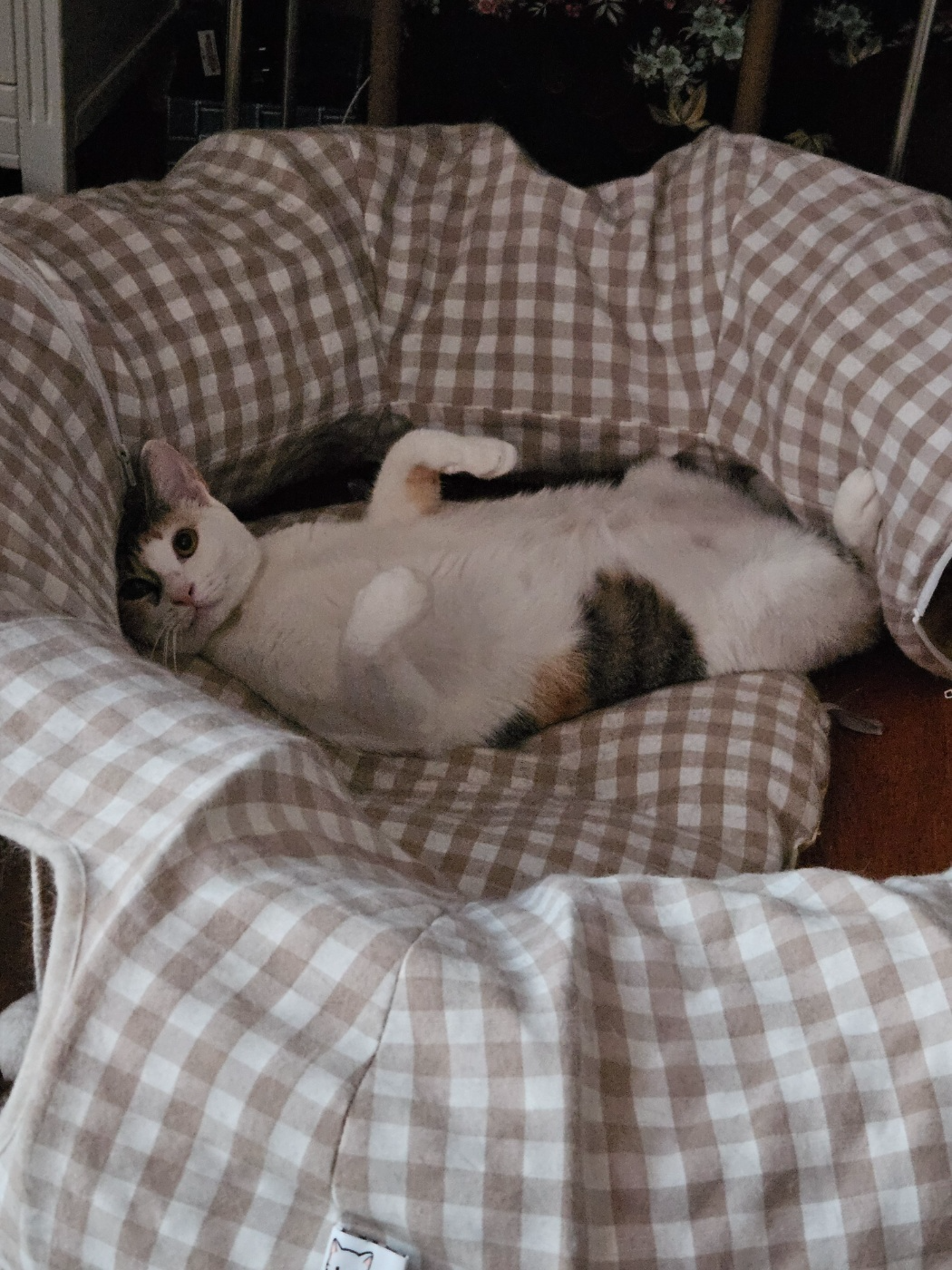 0fed4a02706d0.jpg