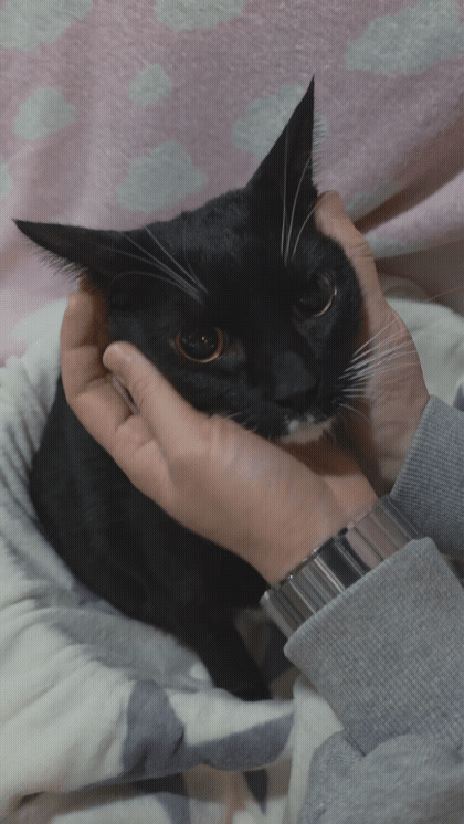 b76f61e5f148b.gif
