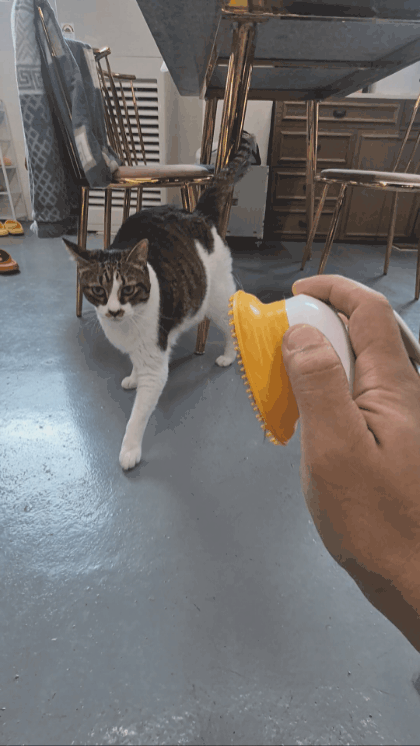 be8f9ded402dd.gif