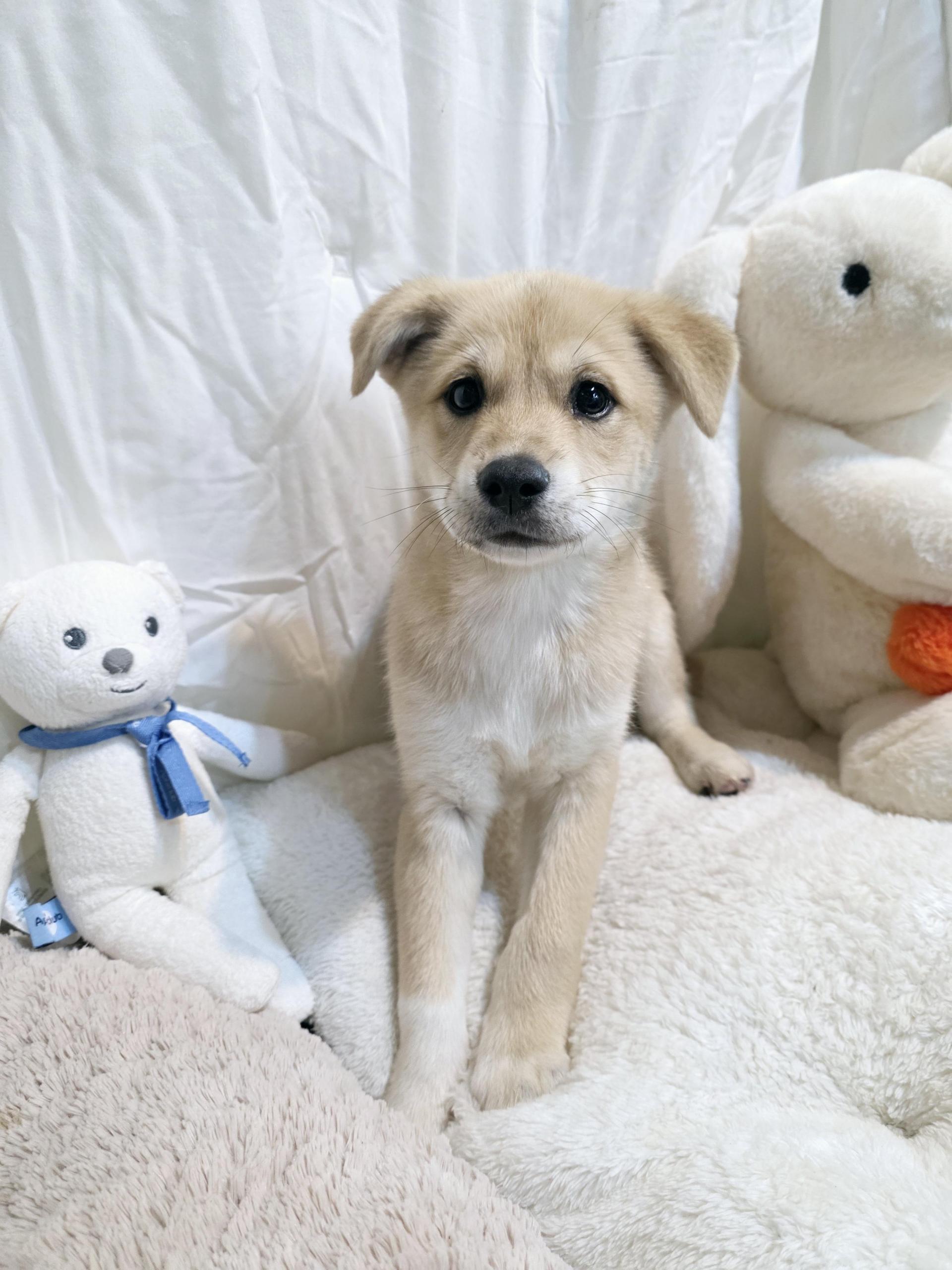 c1242c97c2011.jpg