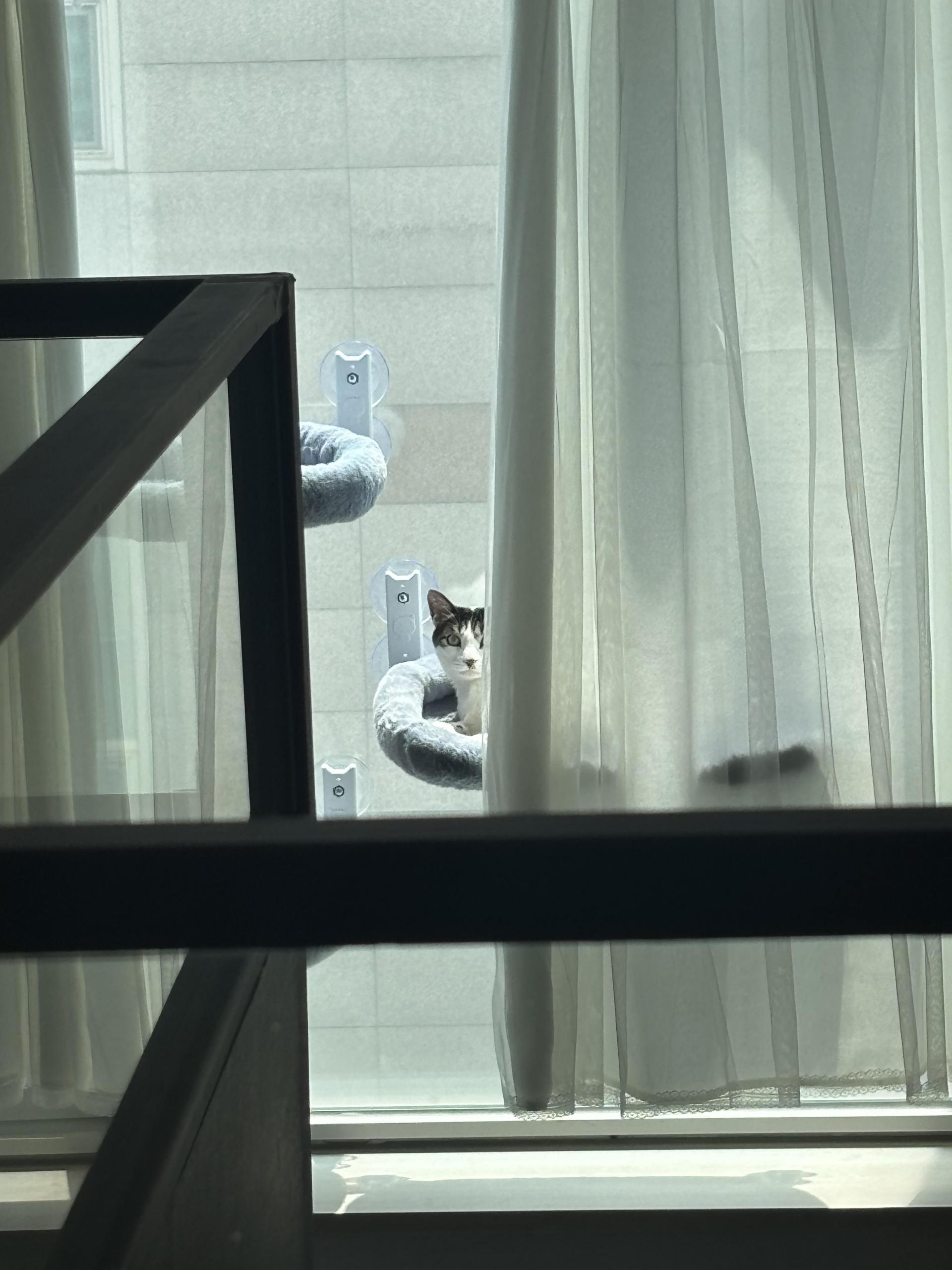 c283a0a297740.jpeg