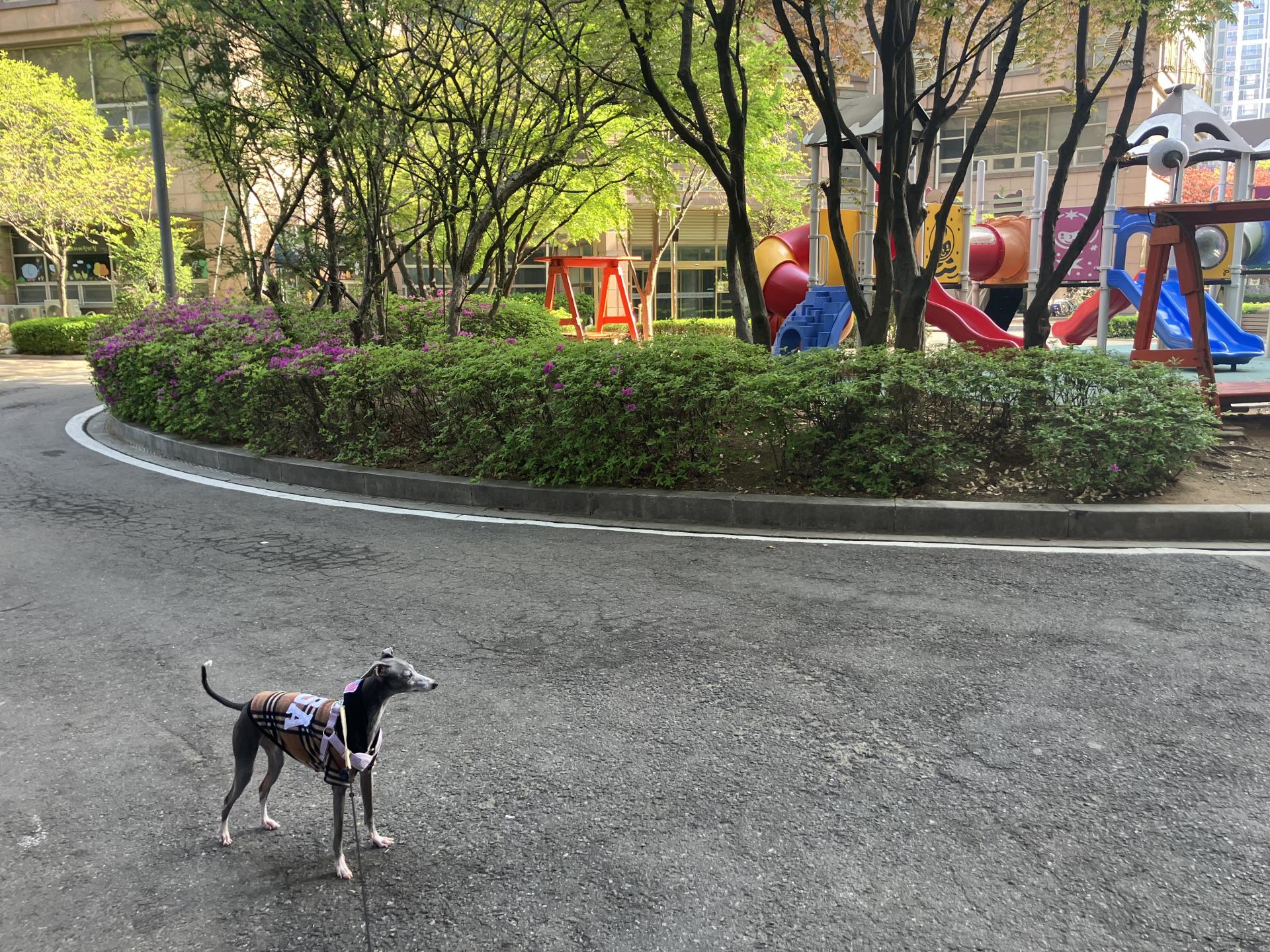 c88a809c81389.jpeg
