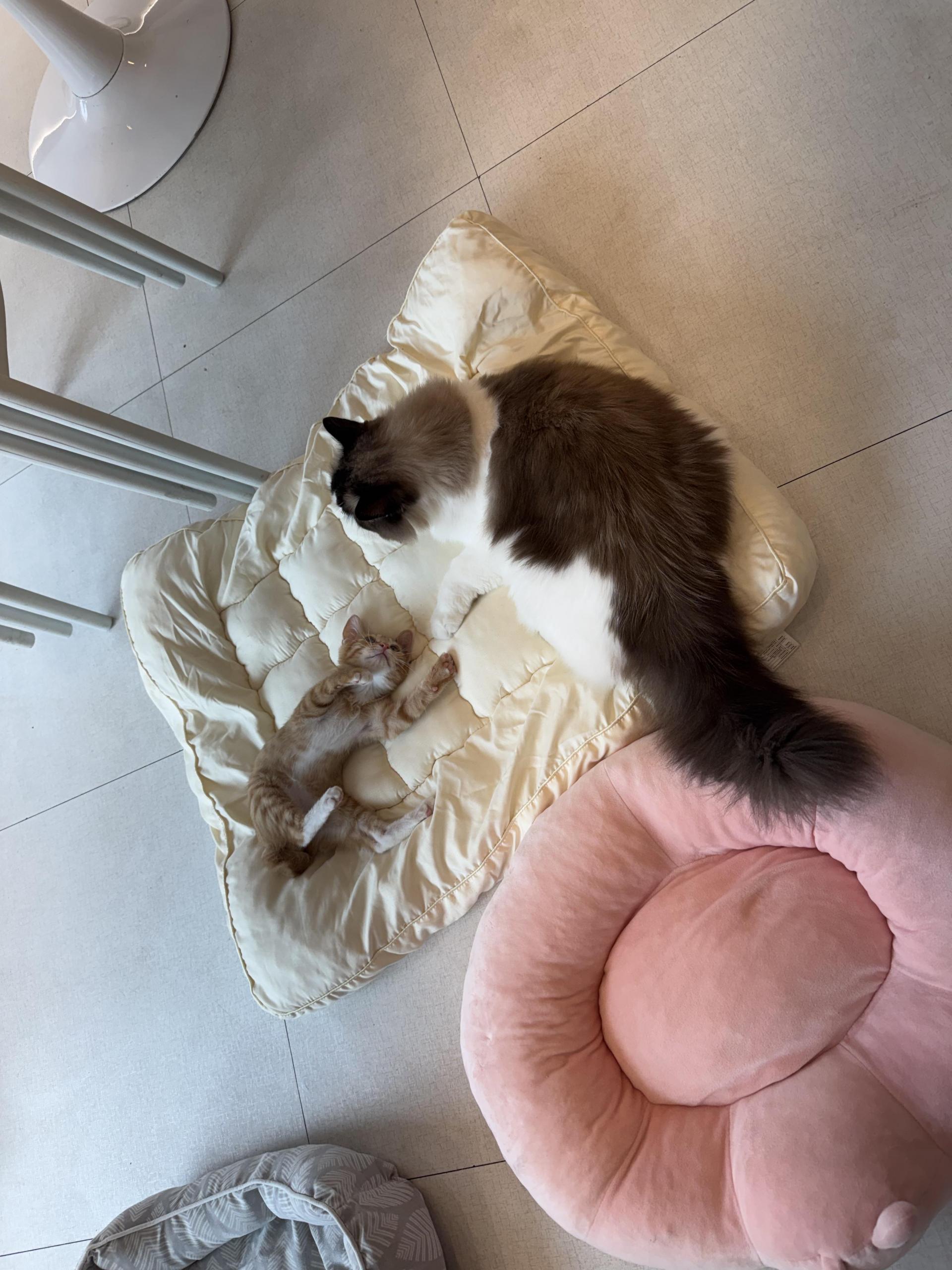 d162a949557e5.jpg