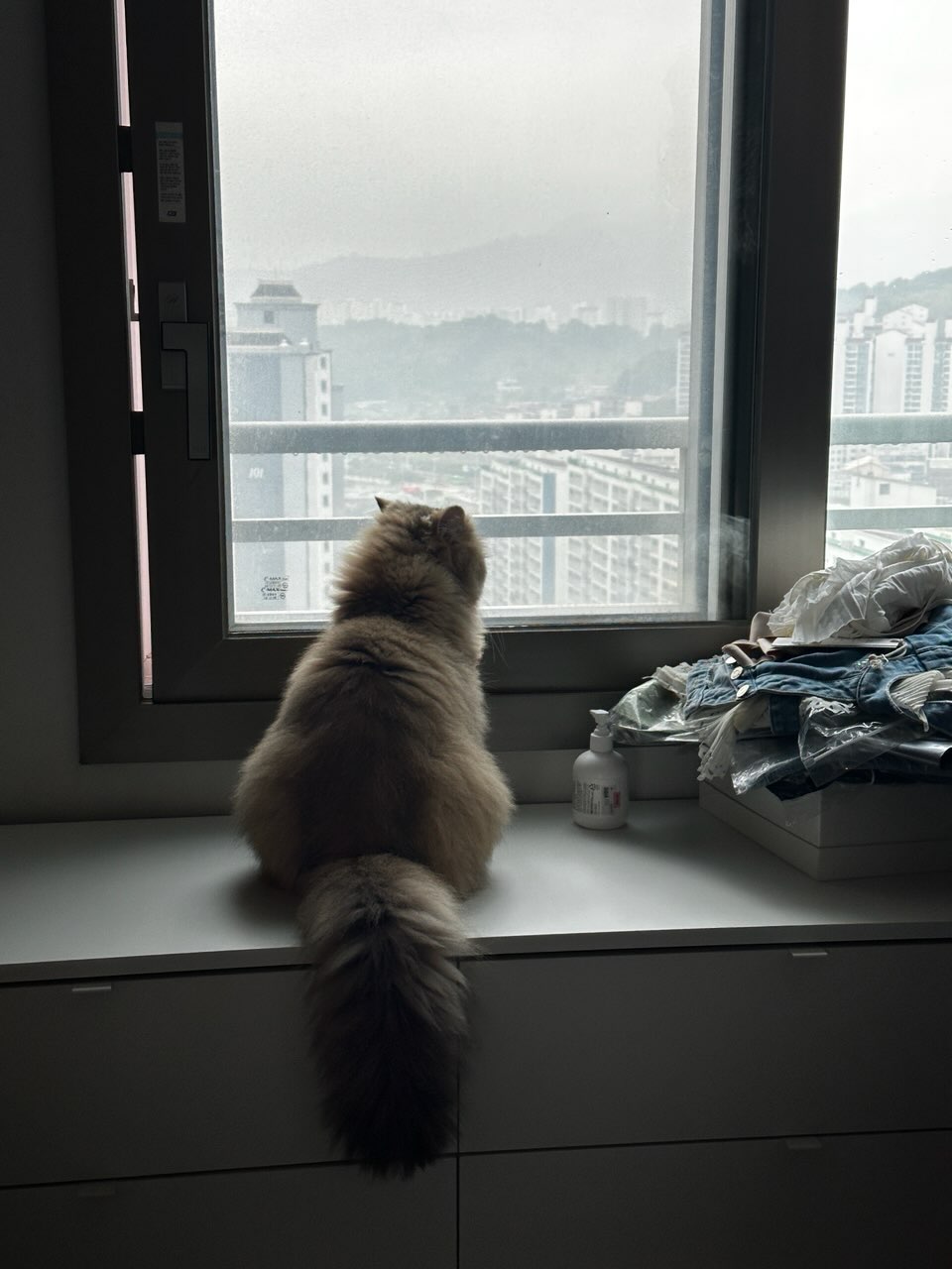 d2102e5fcbabe.jpg