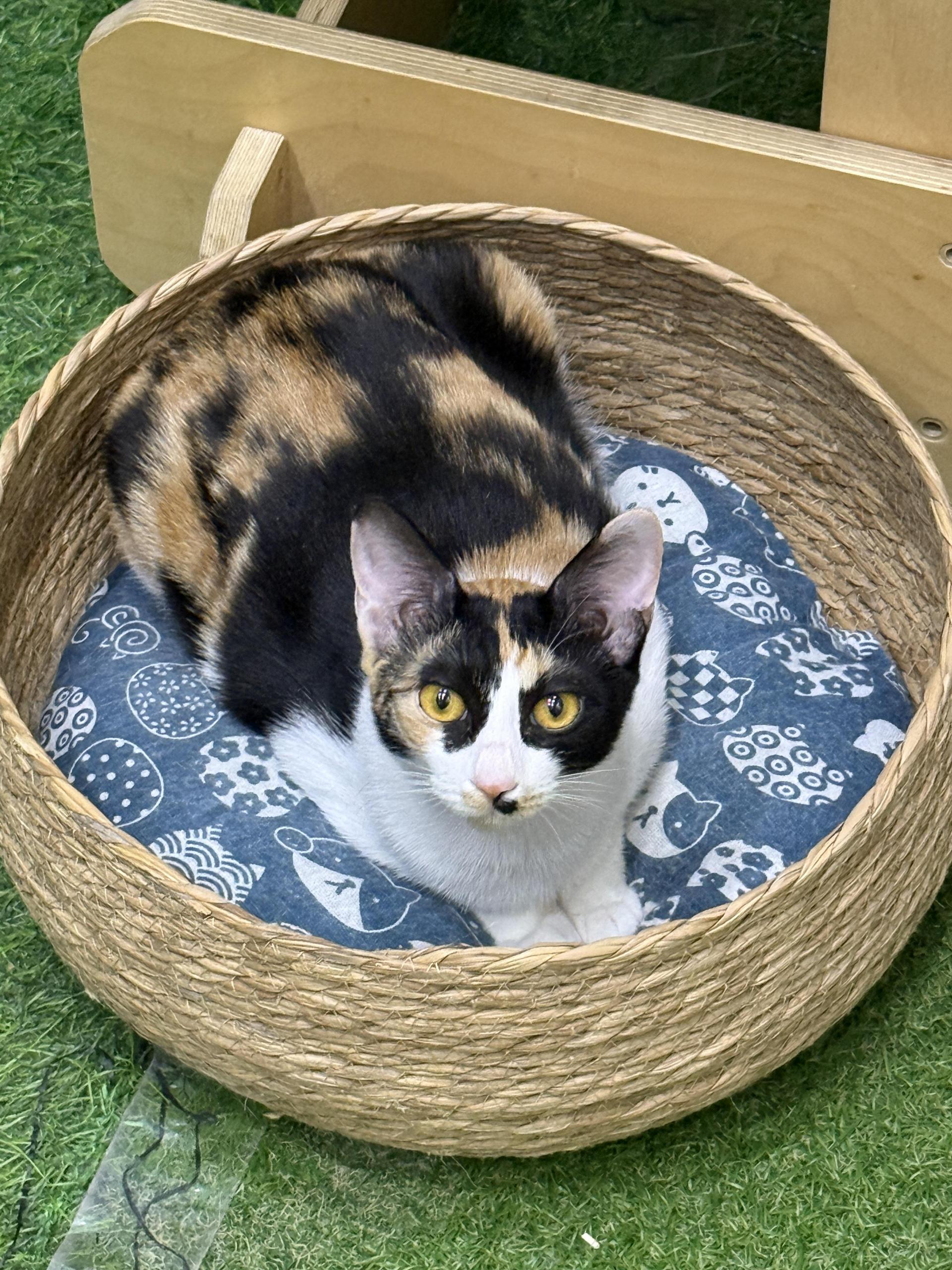 d51927a65247c.jpg