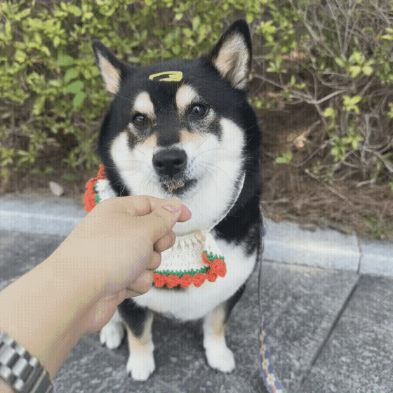 d7df89401469d.gif