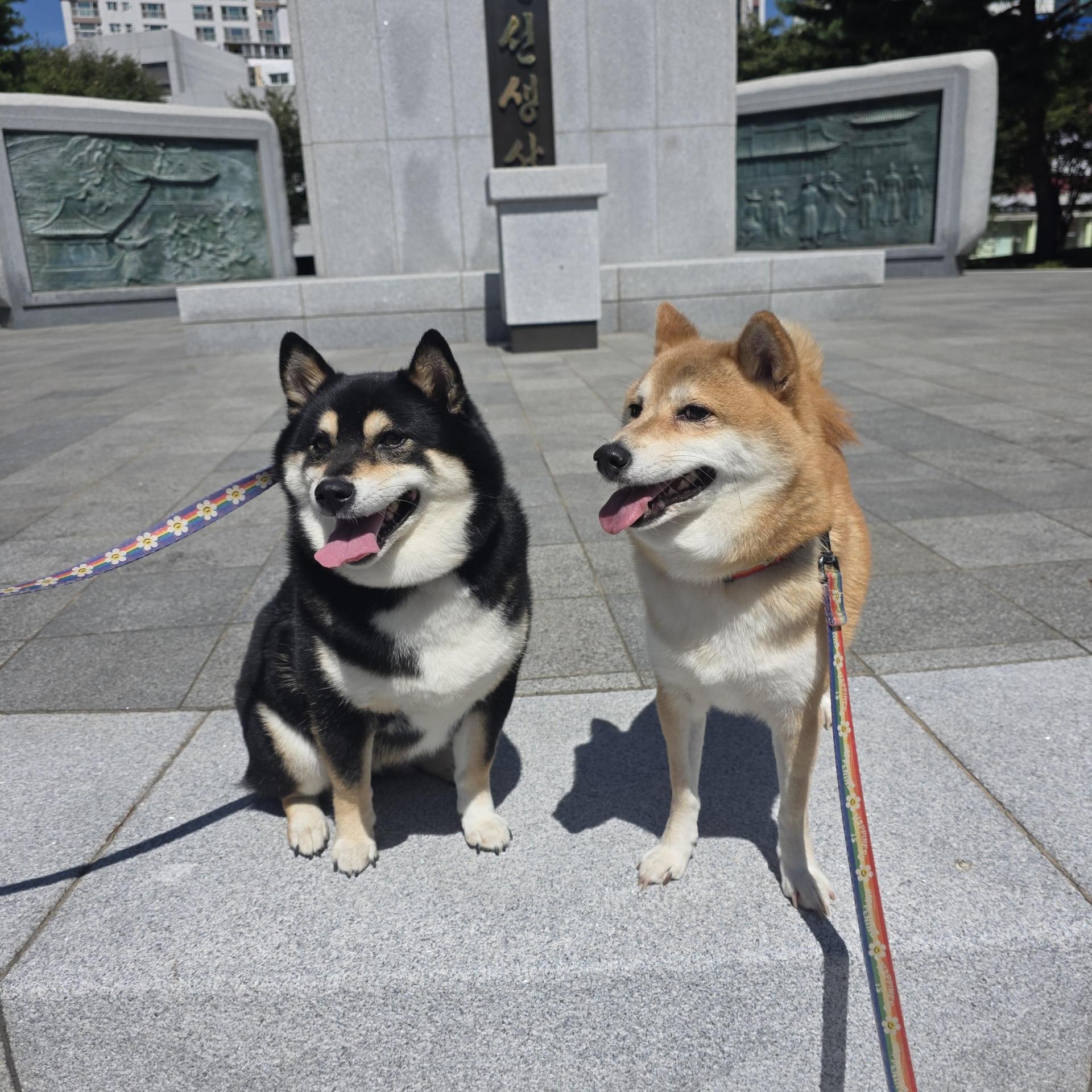 d82cc18c8f2a7.jpg