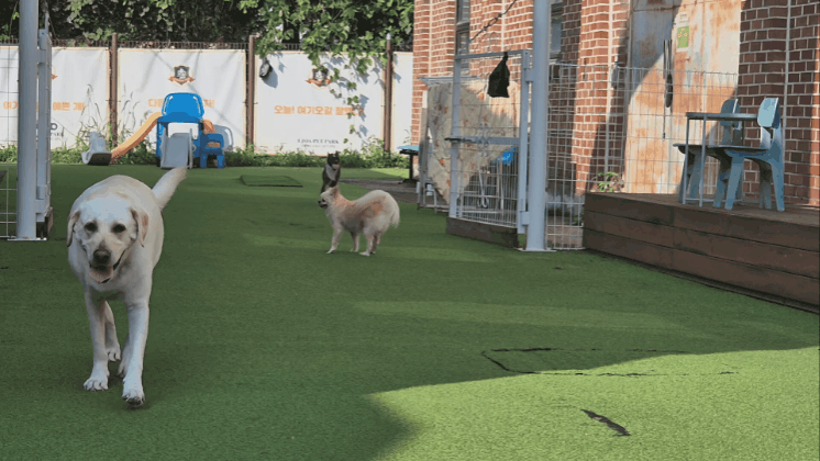 dfc9b3f7126fe.gif
