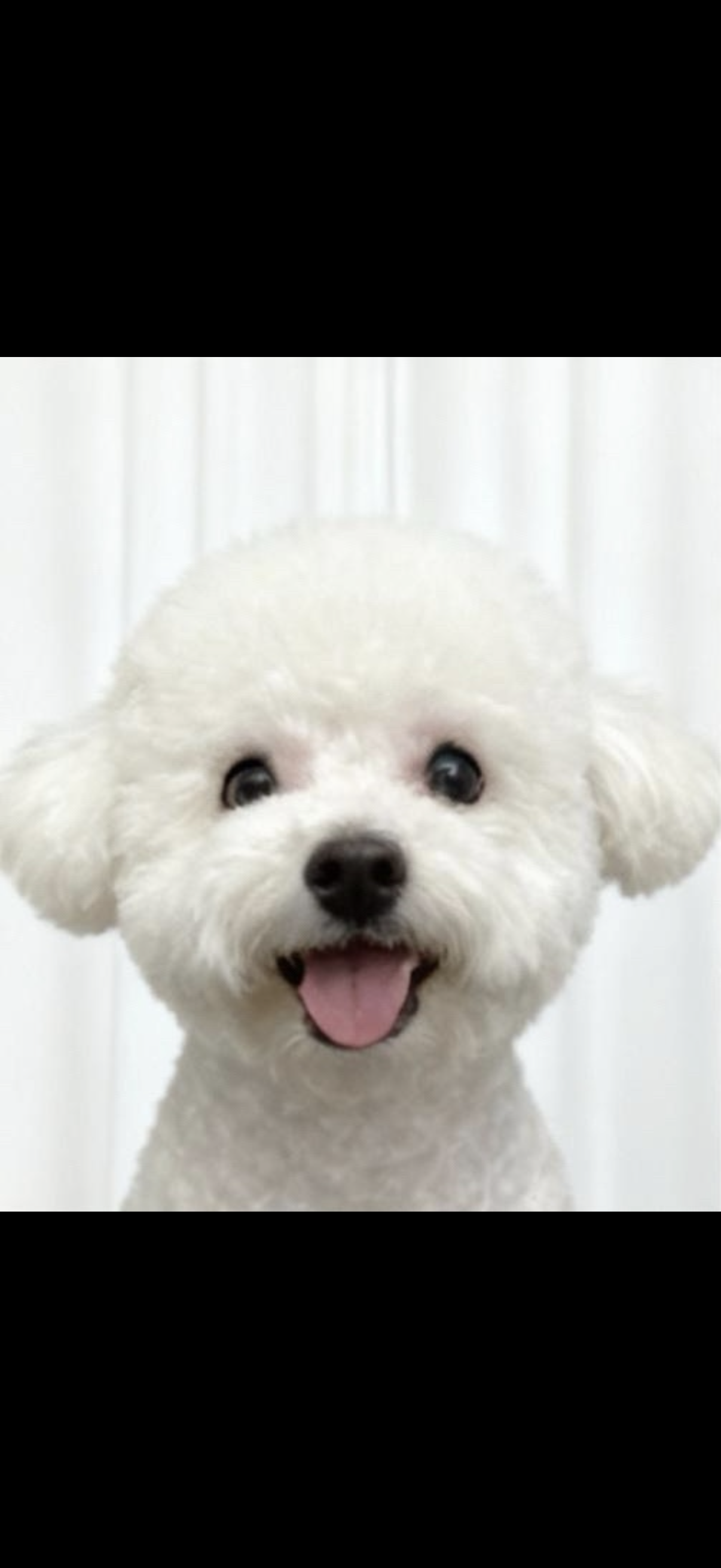 e181f0c78fbe0.png