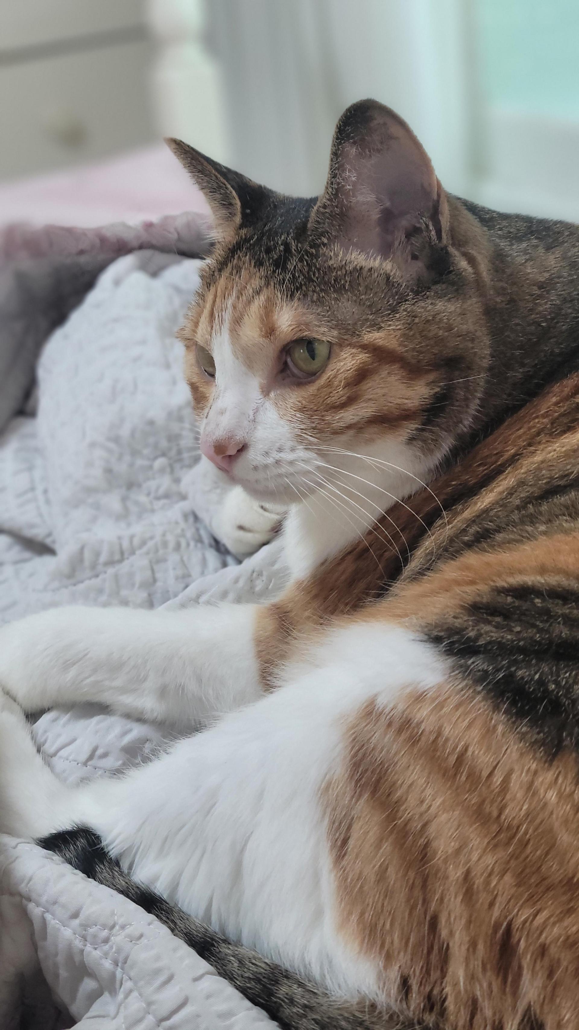 e1c00844a544f.jpg