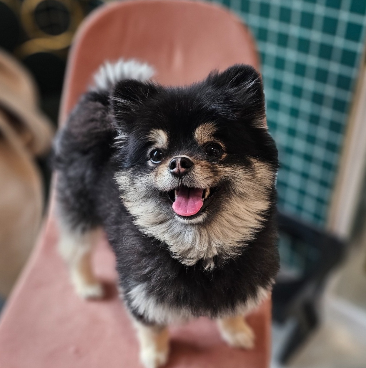e22eff2f97368.jpg
