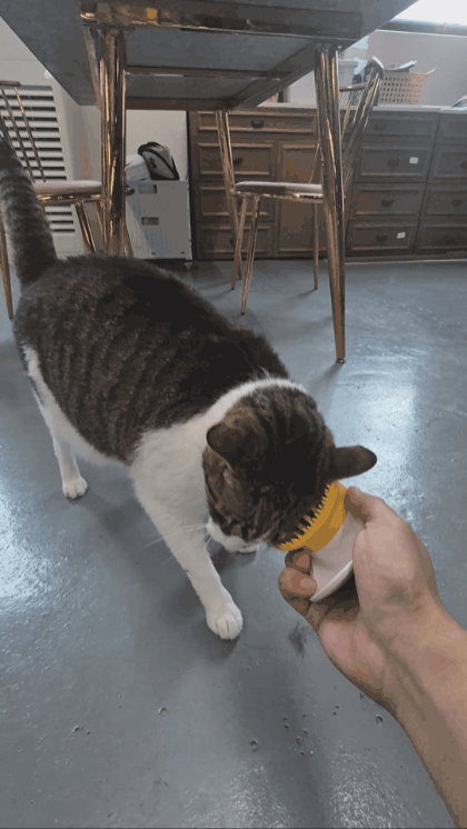 e57f82cf02043.gif