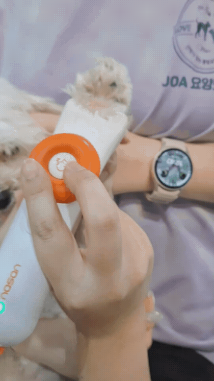 e581d57c0d851.gif