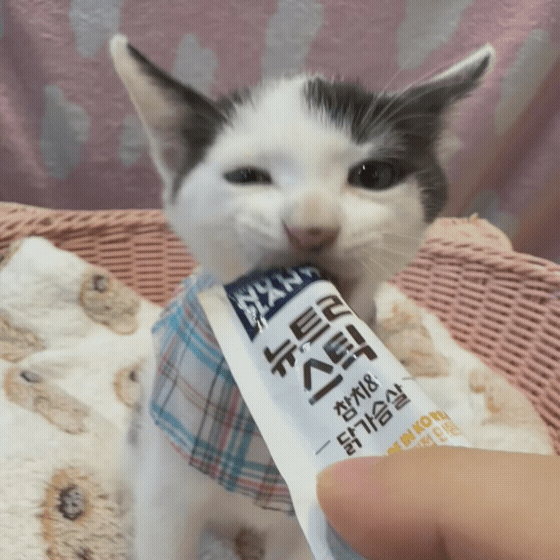 ec3f1932b643e.gif
