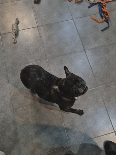 ee5ab27eb36ee.gif