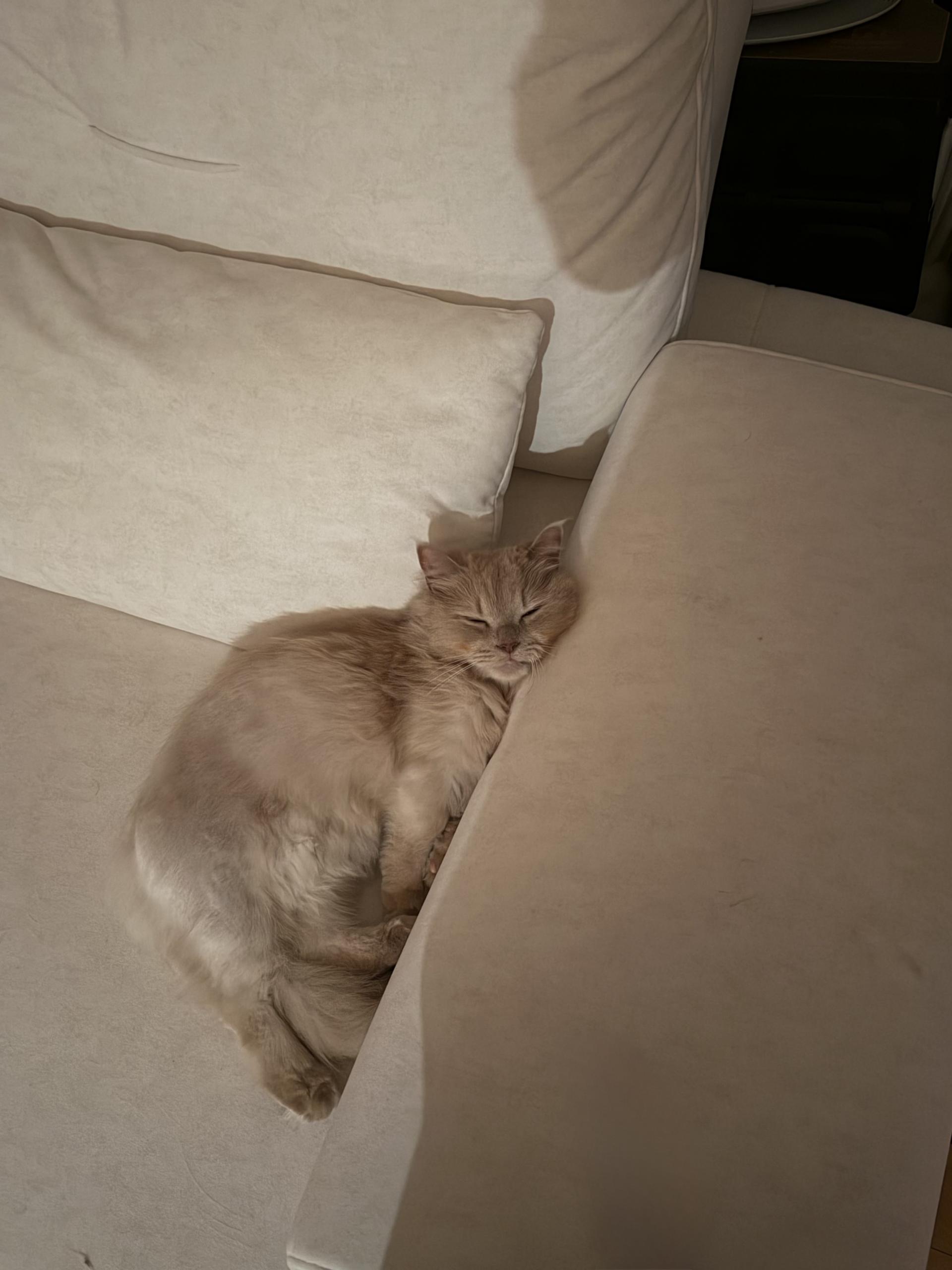 efbc3b44bf294.jpg