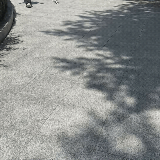 f08980c3e0dac.gif