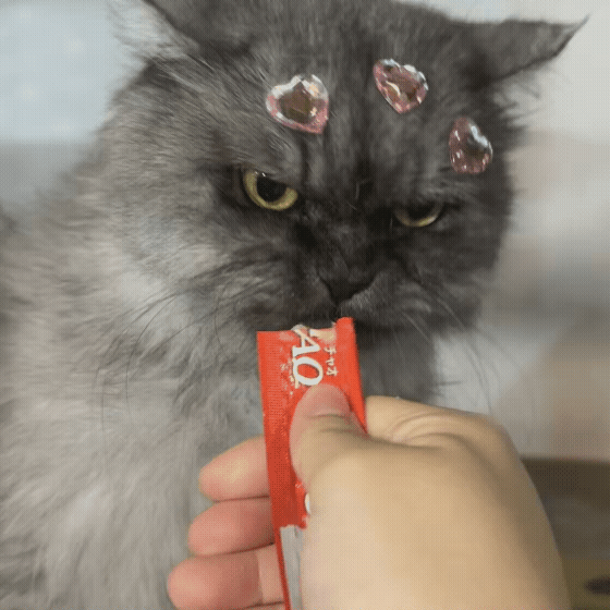 f198ef4ca56f0.gif