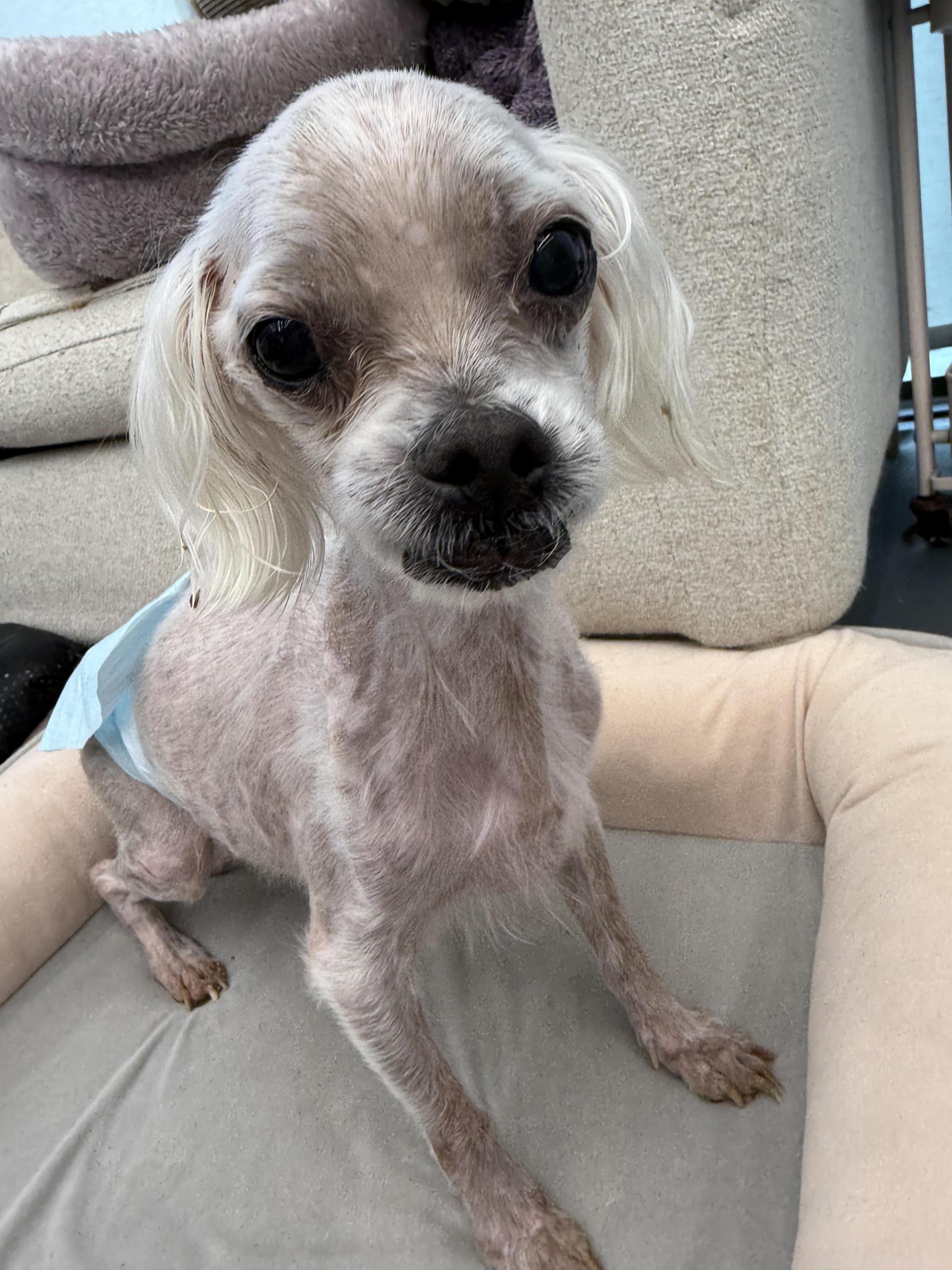 f7fe51fab7665.jpg