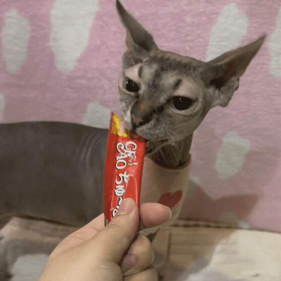 fa4e80c2dff96.gif