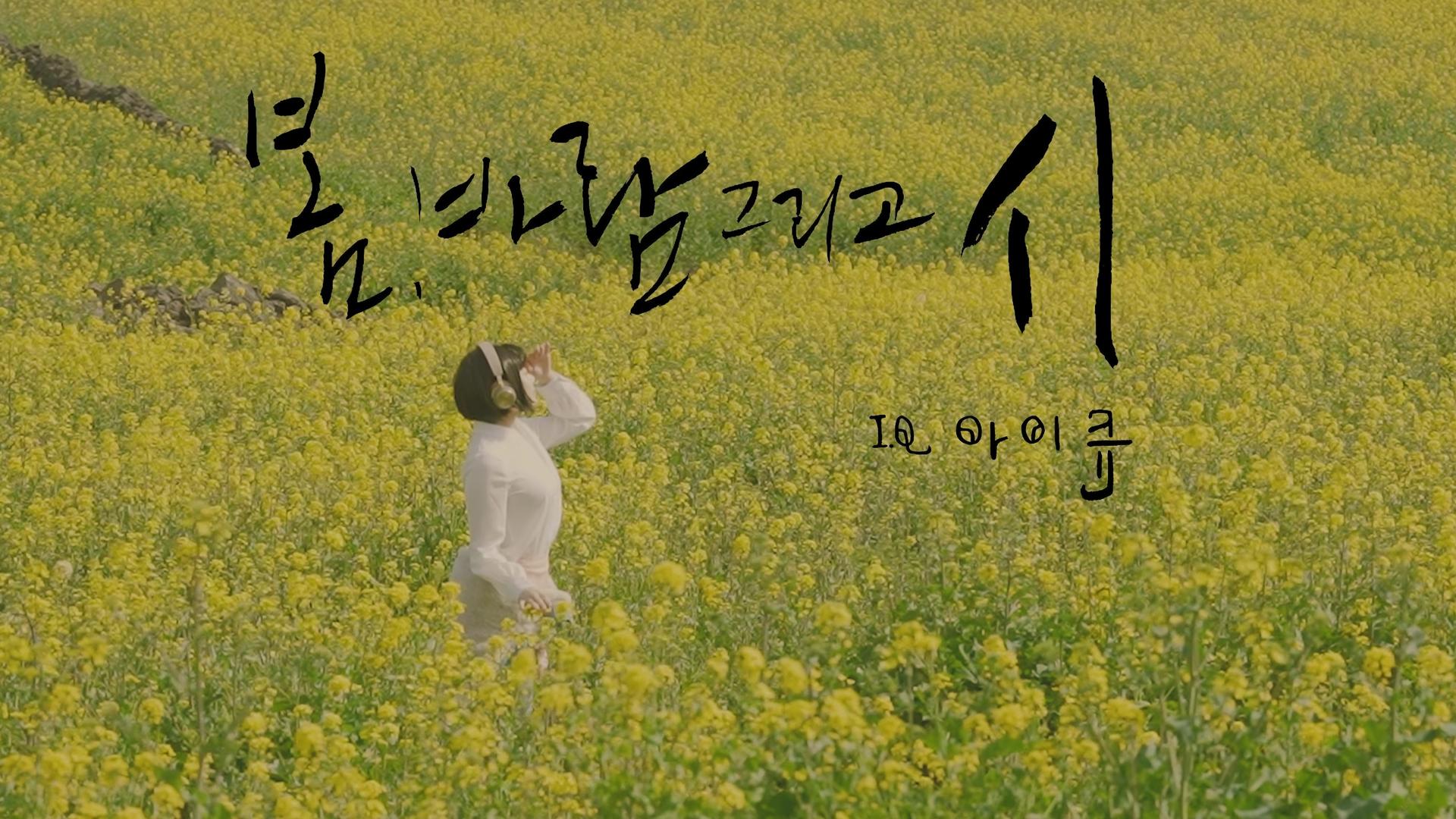 Возобновляемая энергетика германии ветроэнергетика. Круговороты южного полушария. Нидерланды дюны море. Ветровая станция в ульяновске. Голландия берег северного моря.