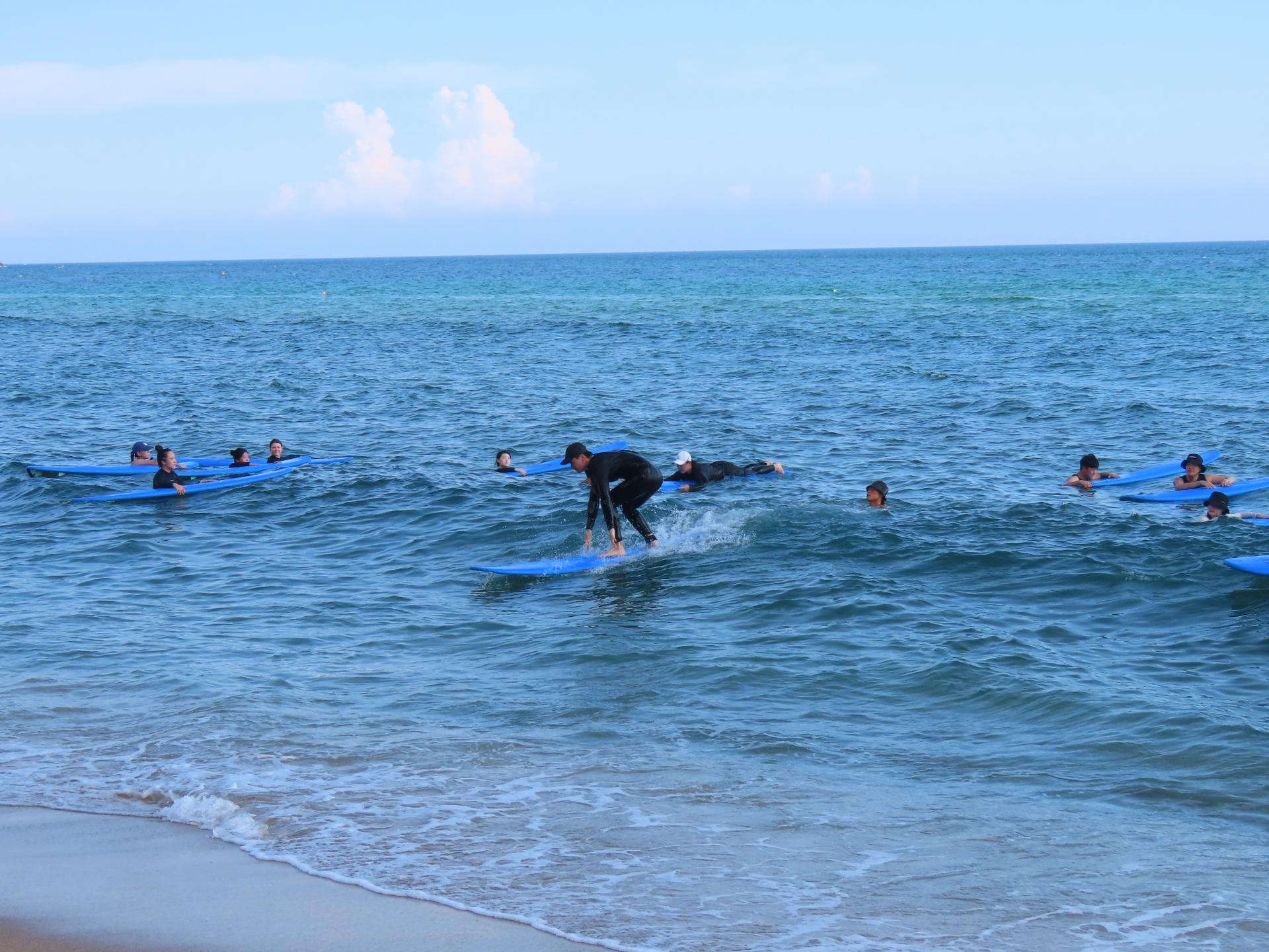 7bcdf71331e76.jpg