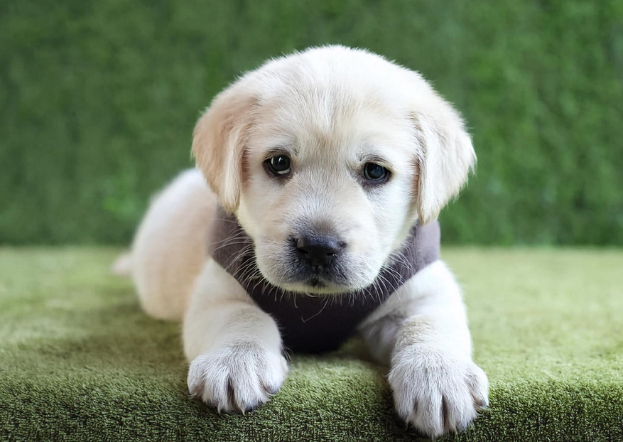 0a0c852765715.png