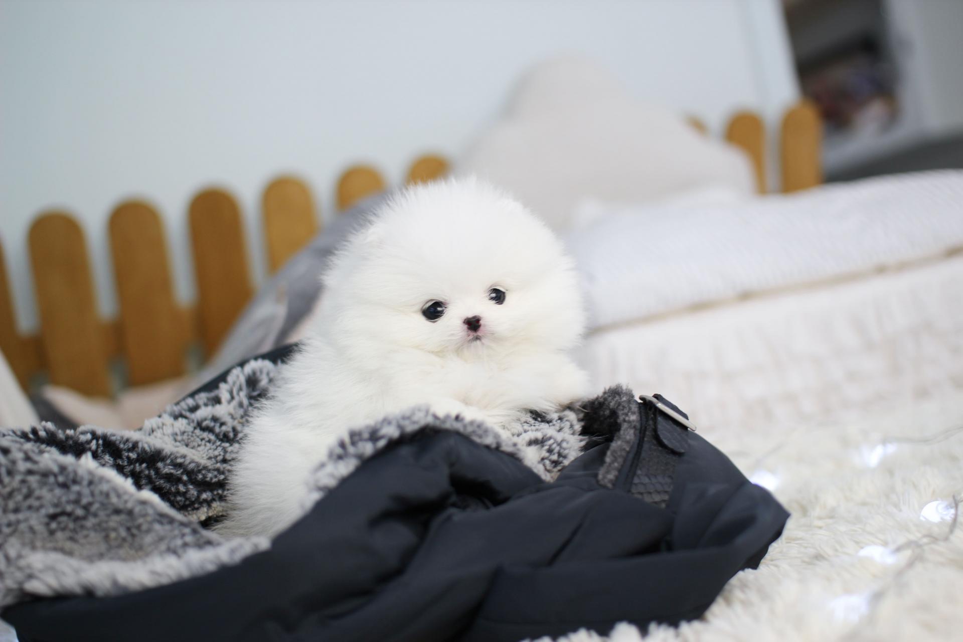 1143fe087d3bb.jpg
