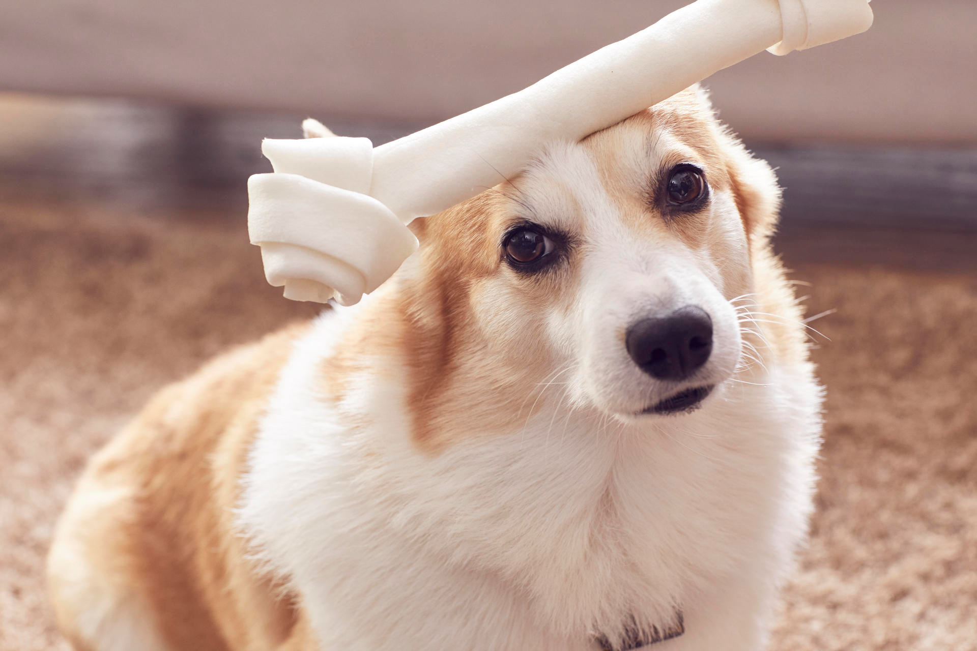 26ac20c607188.png