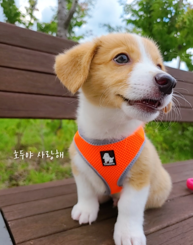 310f2ea55e84a.png