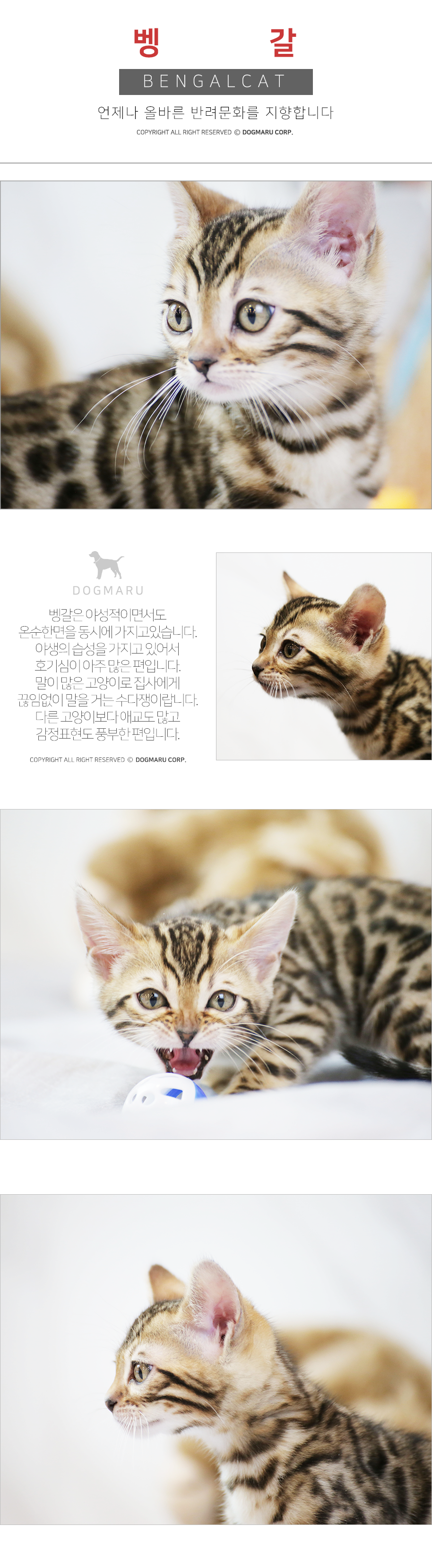 5c4009df52e75.png