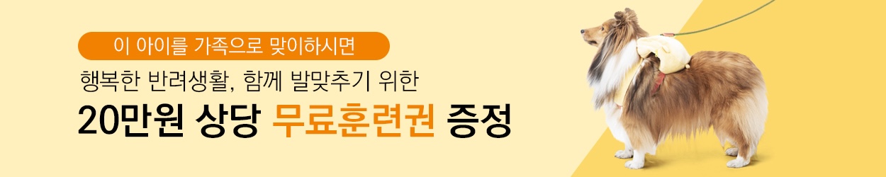 대전강아지분양 서구강아지분양 대전래브라도리트리버분양 서구래브라도리트리버분양 래브라도 리트리버 (무료훈련권, 건강검진권 증정) : 강아지분양 도그마루 : 실시간분양 강아지 대전점 대전강아지분양 서구강아지분양 대전래브라도리트리버분양 서구래브라도리트리버분양 래브라도 리트리버 (무료훈련권, 건강검진권 증정) : 강아지분양 도그마루 : 실시간분양 강아지 대전점