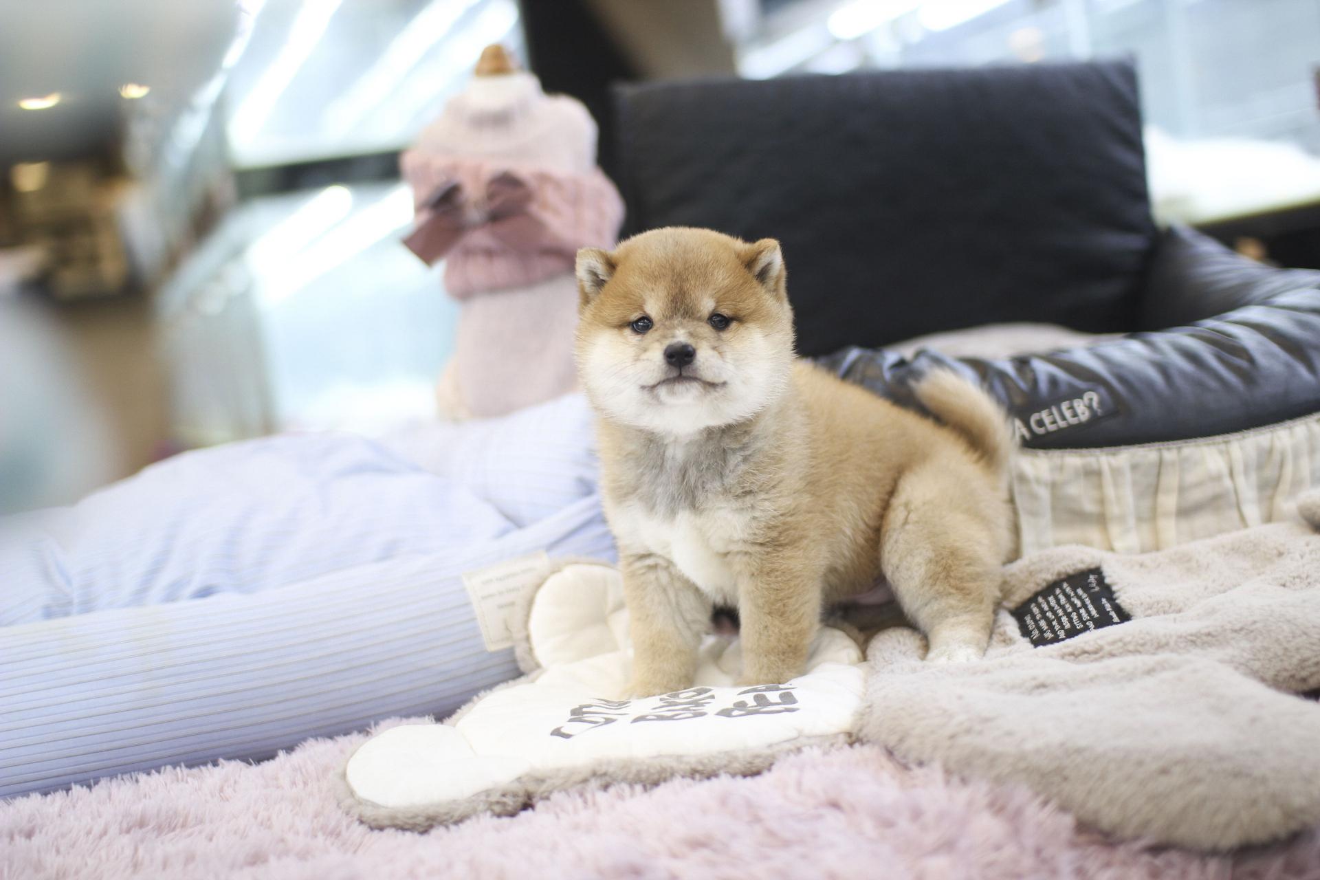 75da926912417.jpg