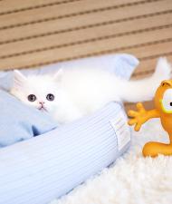7fe1fd6a536d6.jpg