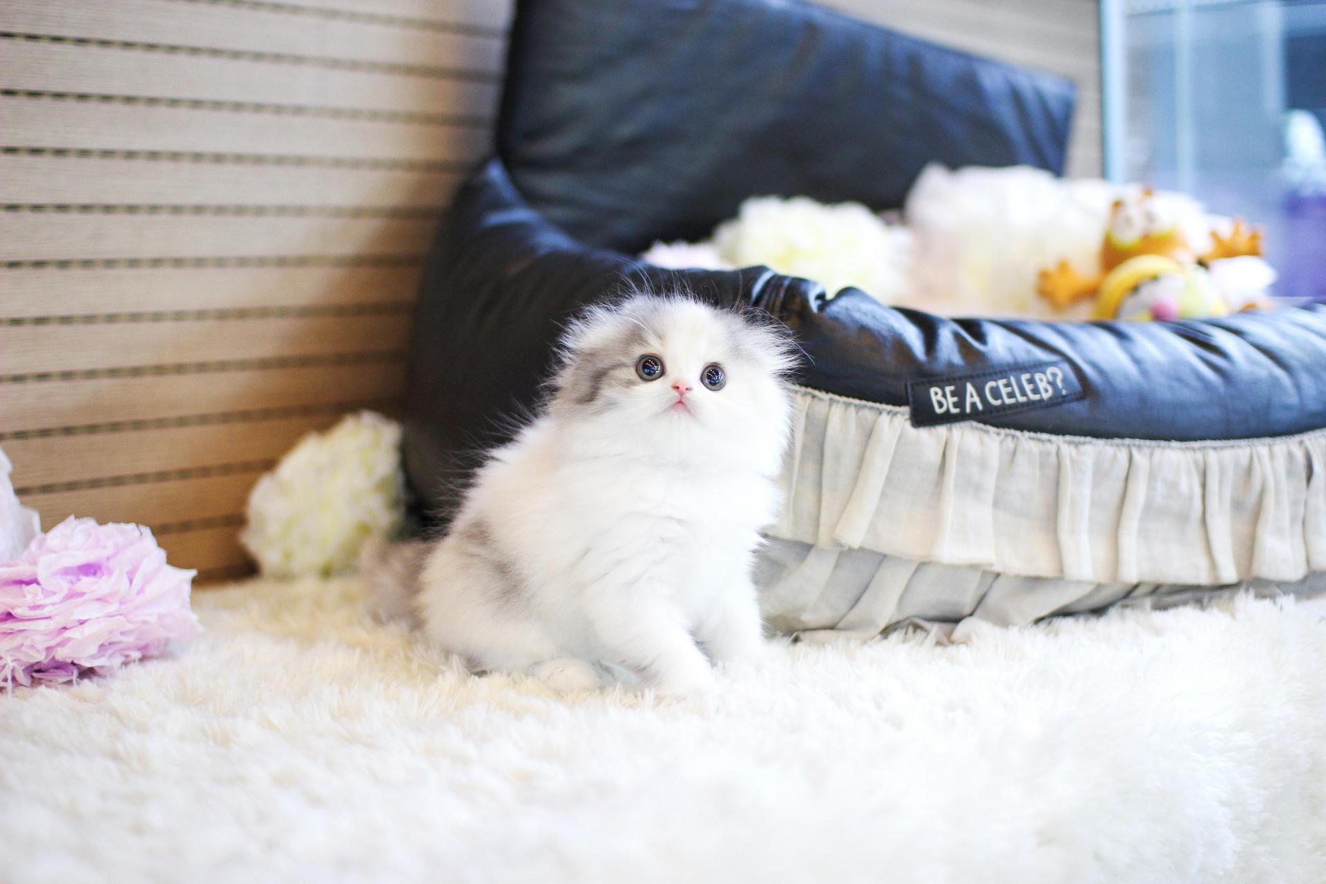 84039c6e790f7.jpg