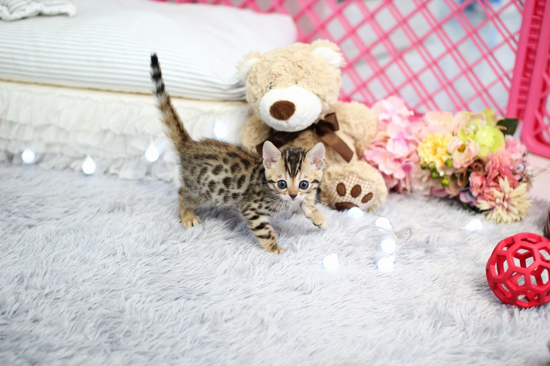 9912358be6f1b.jpg