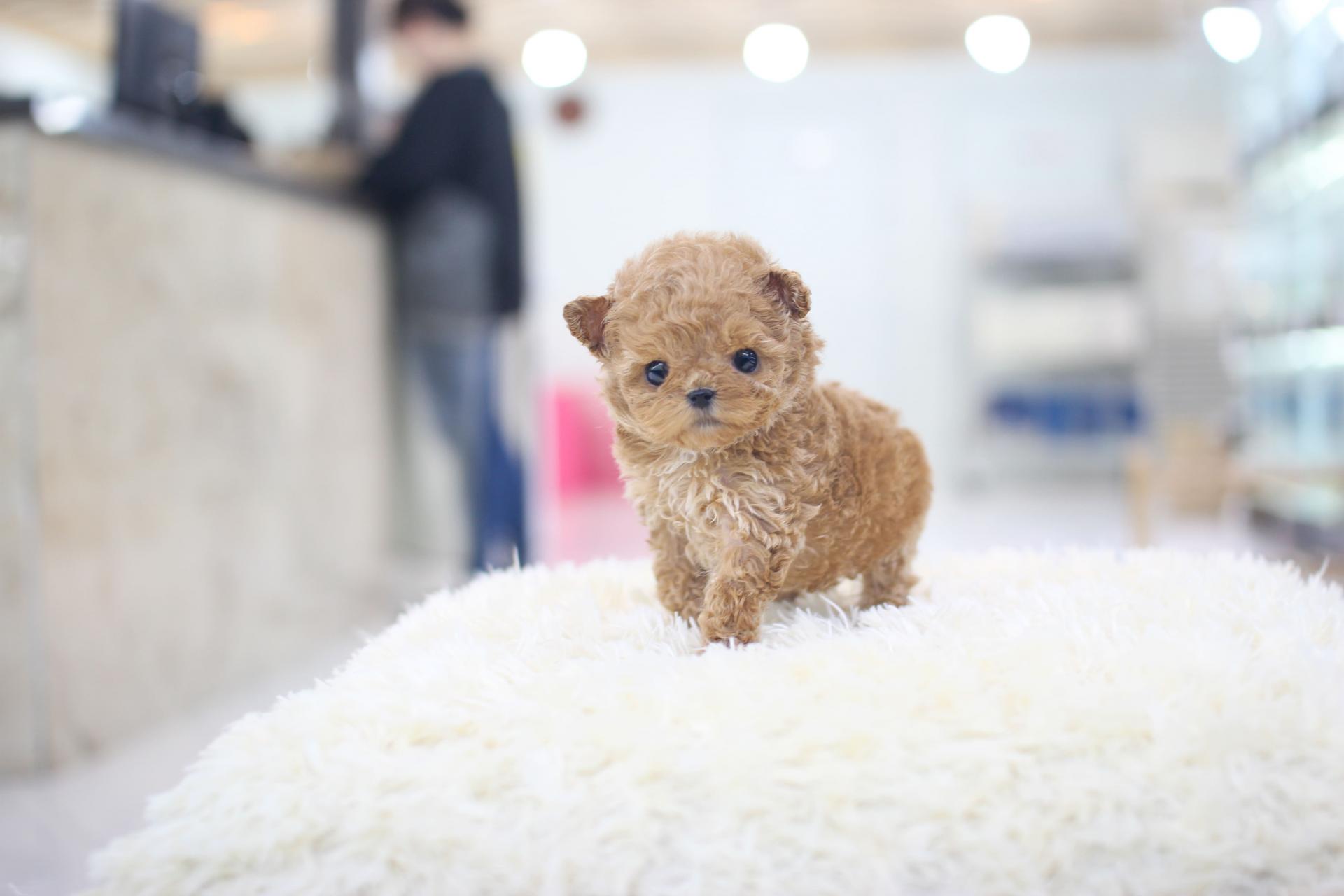 9e26babc2896c.jpg
