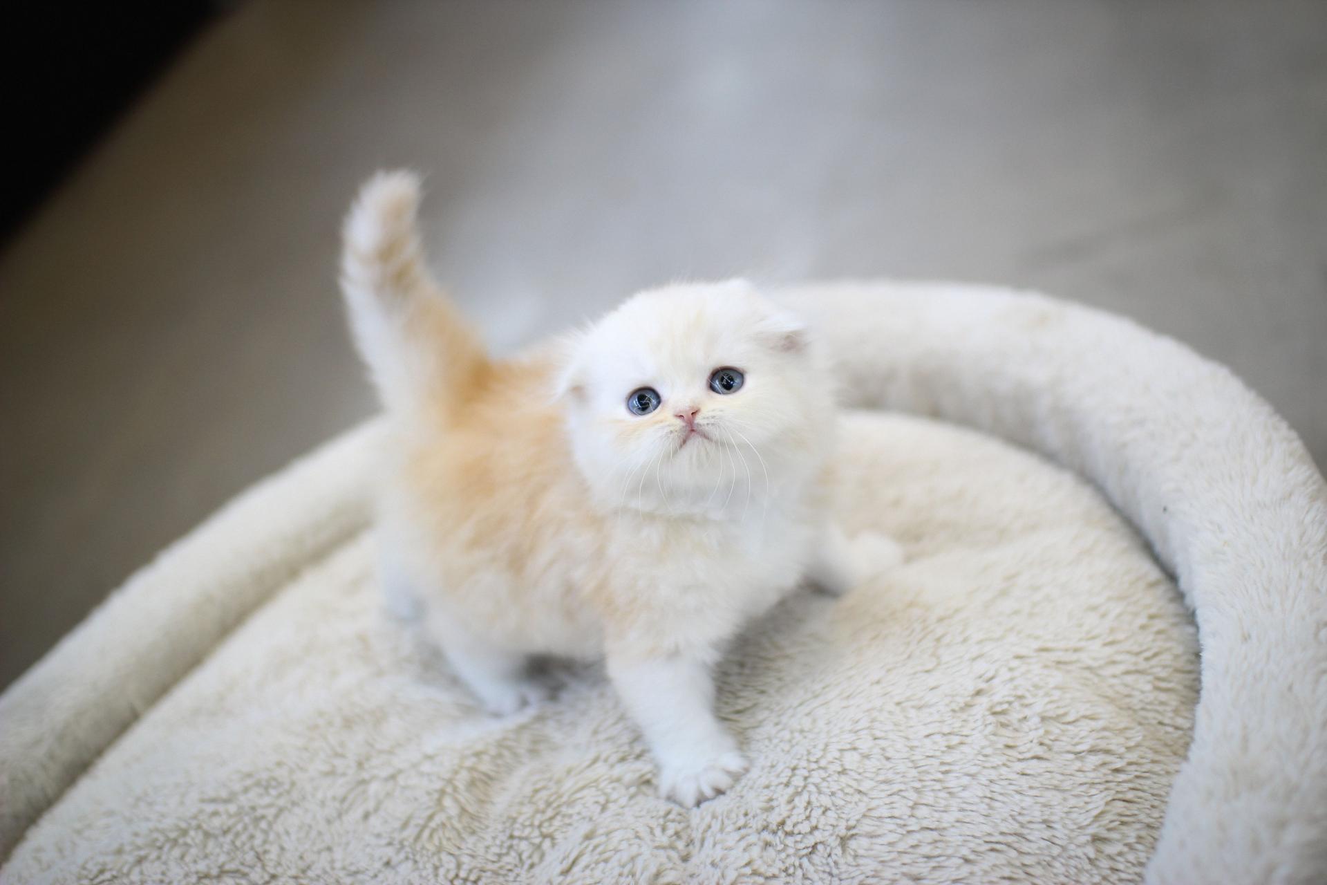 a7388fe1264a1.jpg