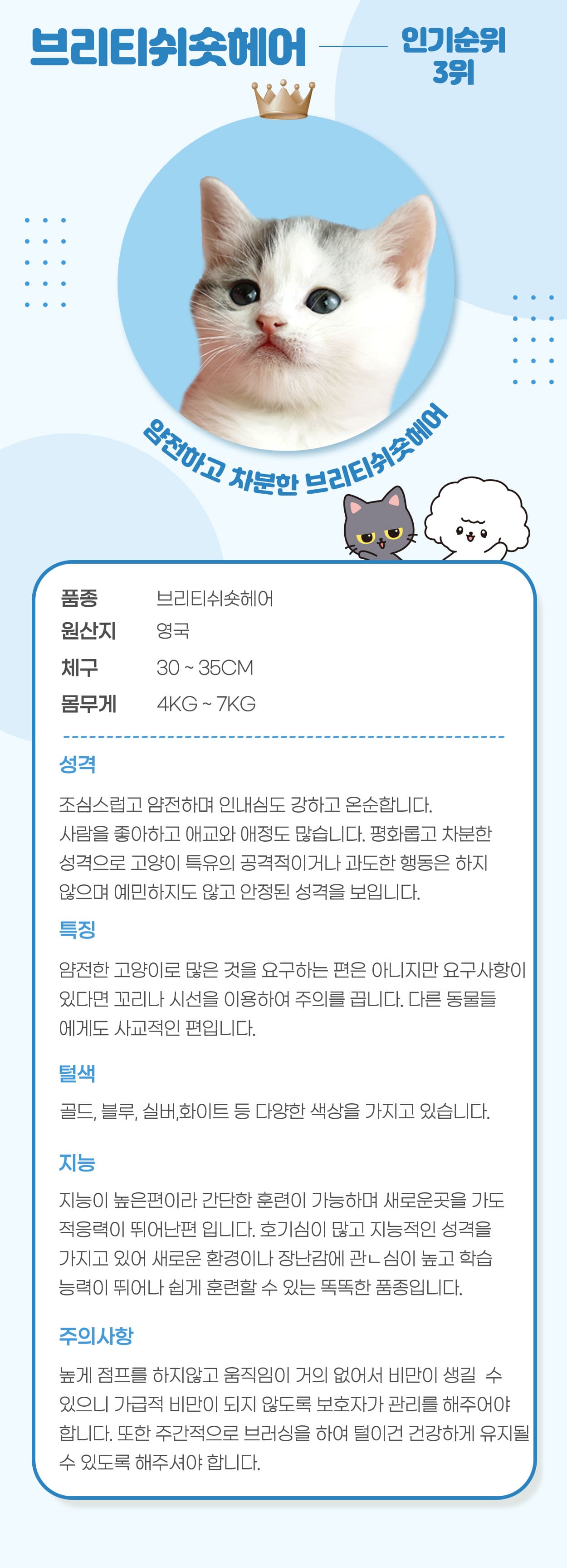 a7bcdc89bdd5c.jpg
