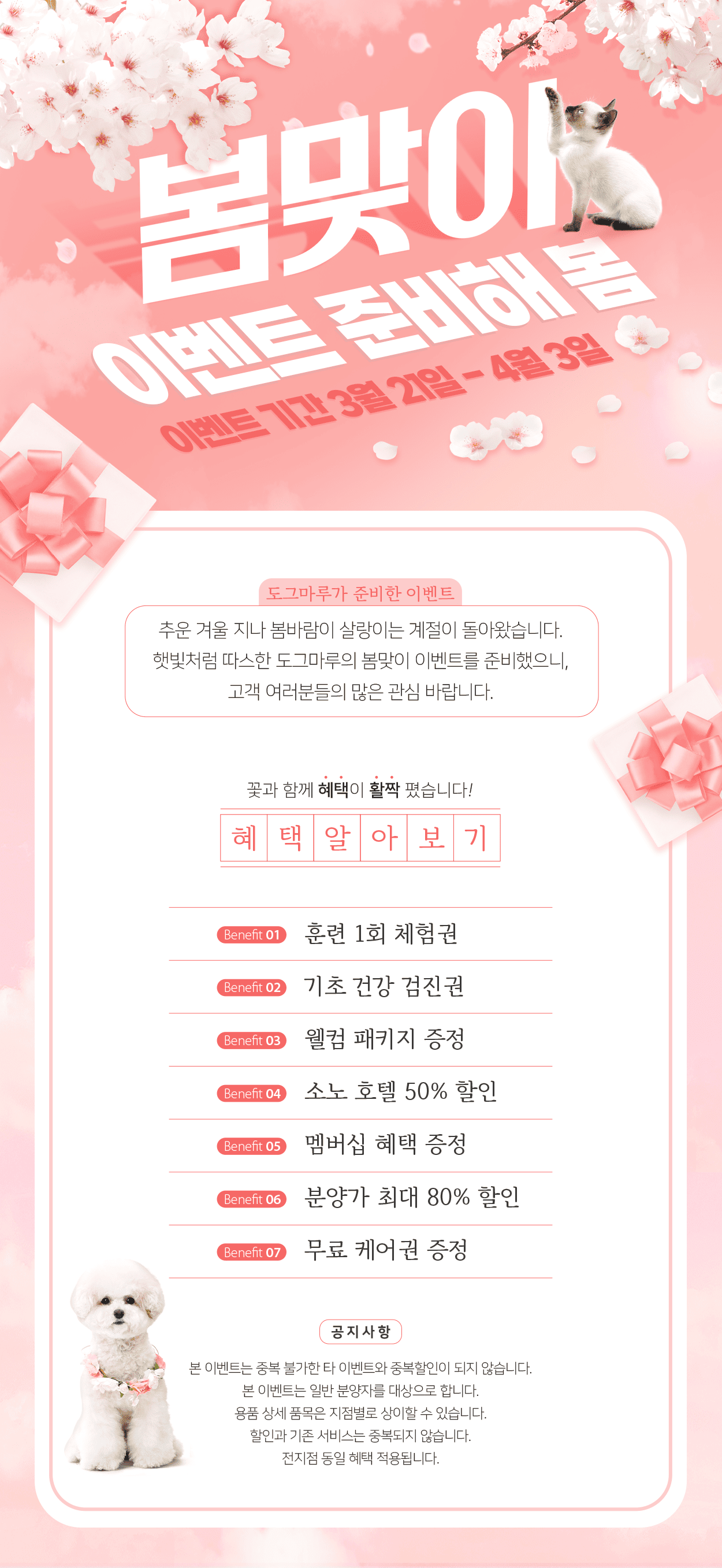 a893bcd28a879.png