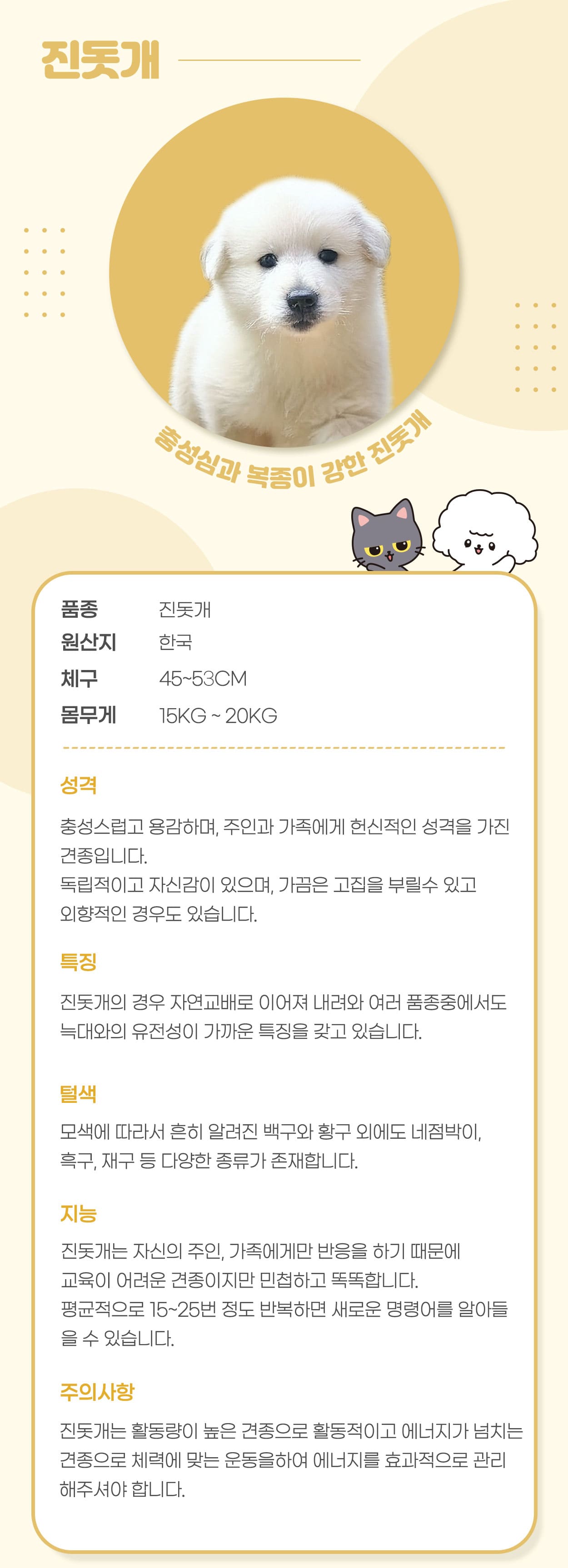 cbc03576aa512.jpg