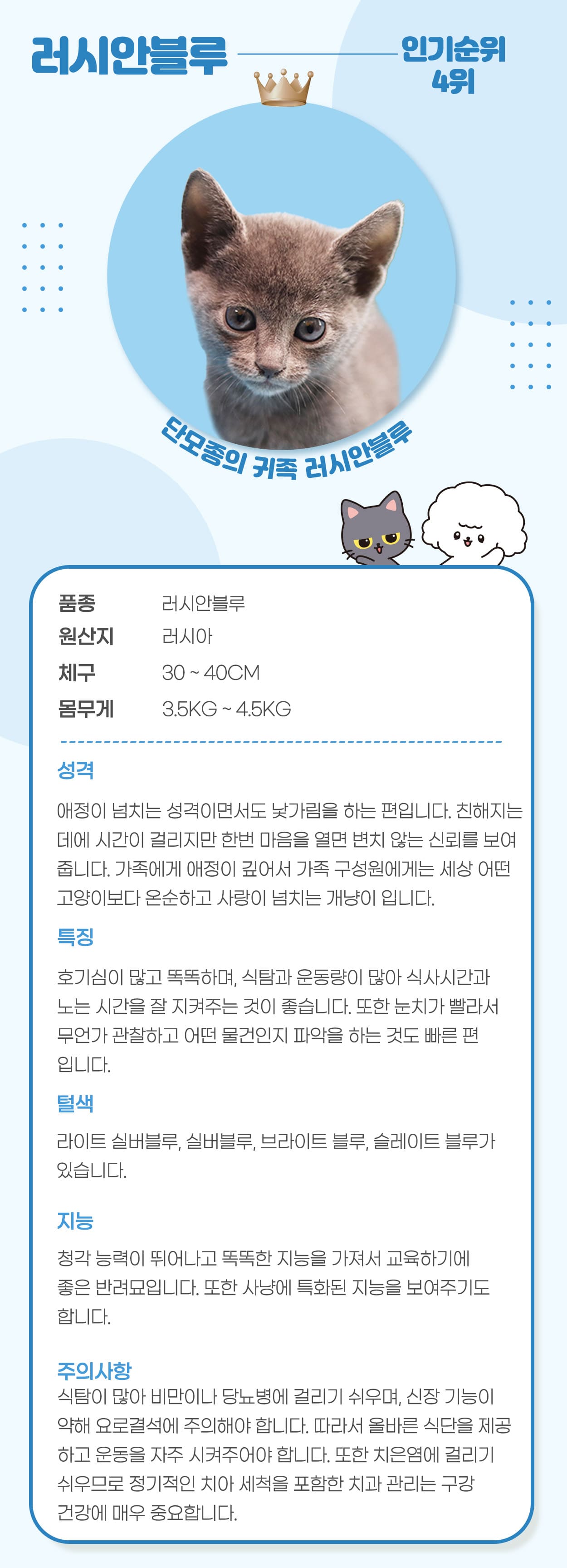 cc555e660fa6d.jpg