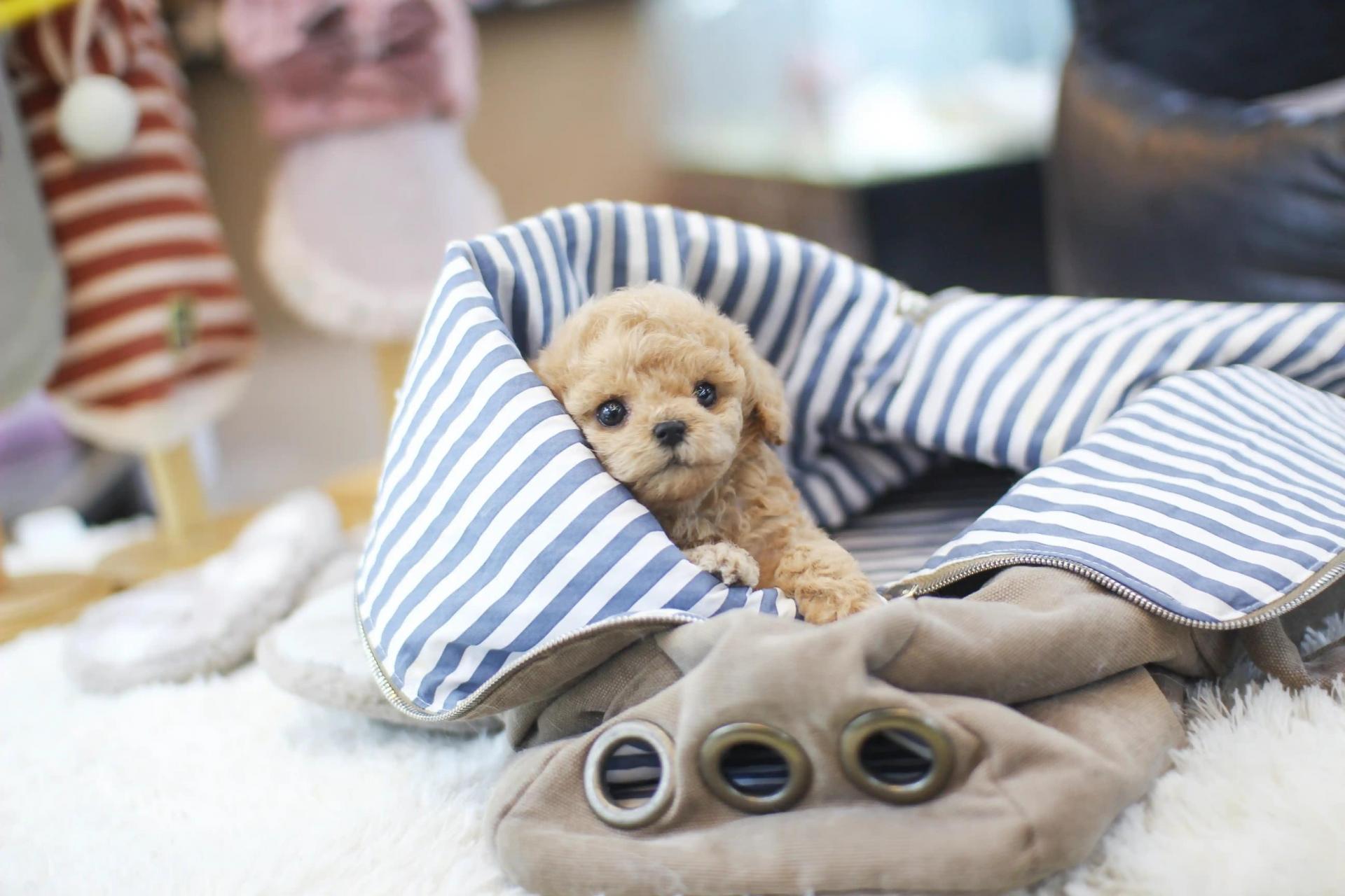 e525c198fec3d.jpg