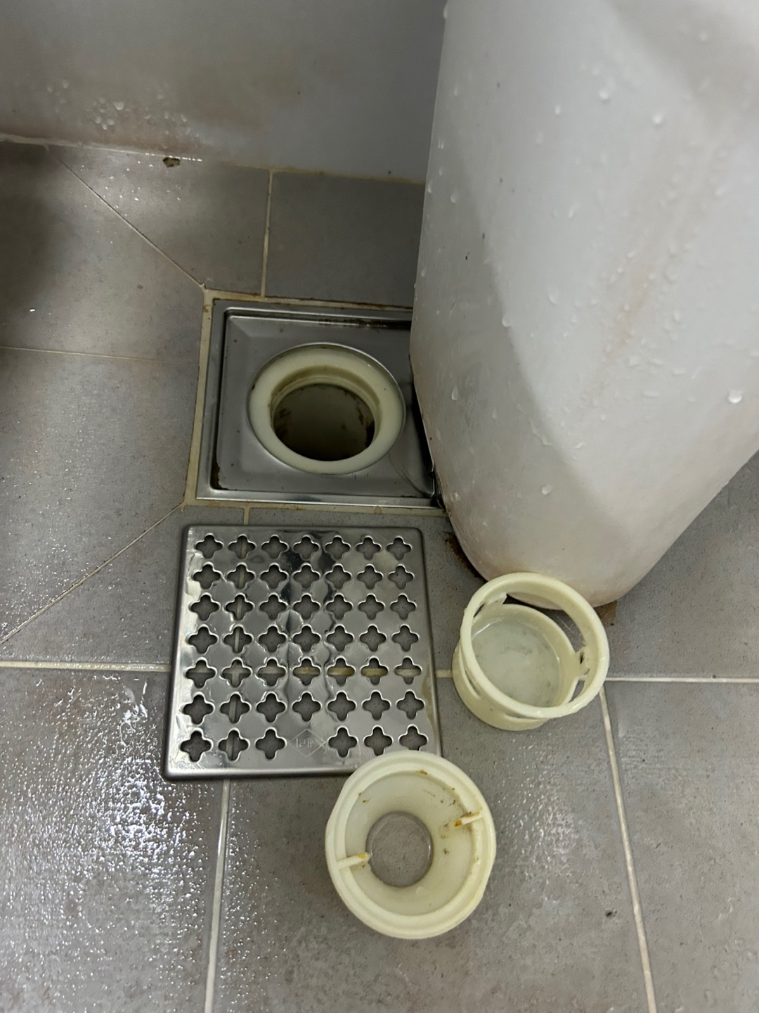 284905956f9d0.jpg
