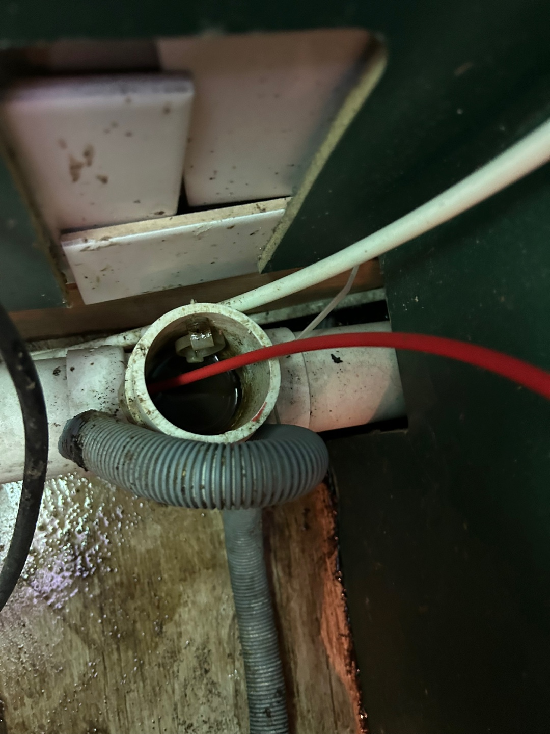 85cbd234cf905.jpg