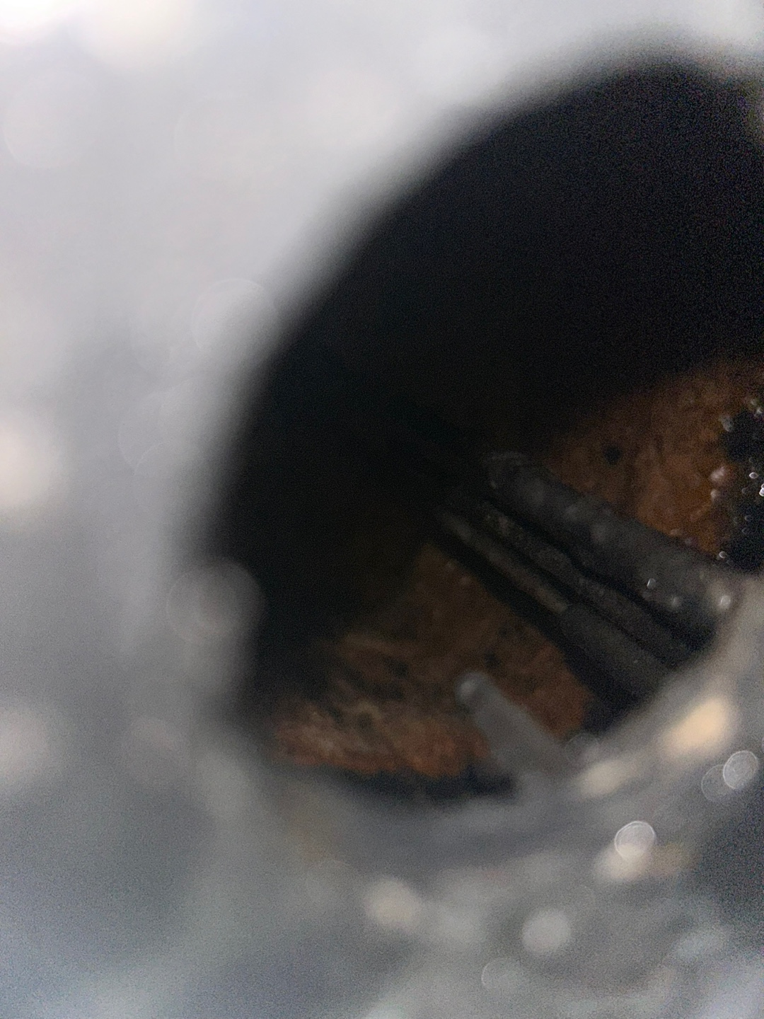 90622cc8ca4eb.jpg