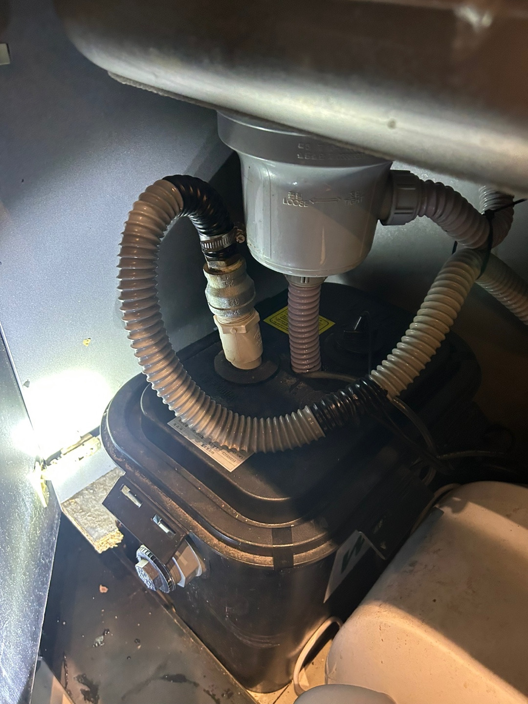 b238e121de81d.jpg
