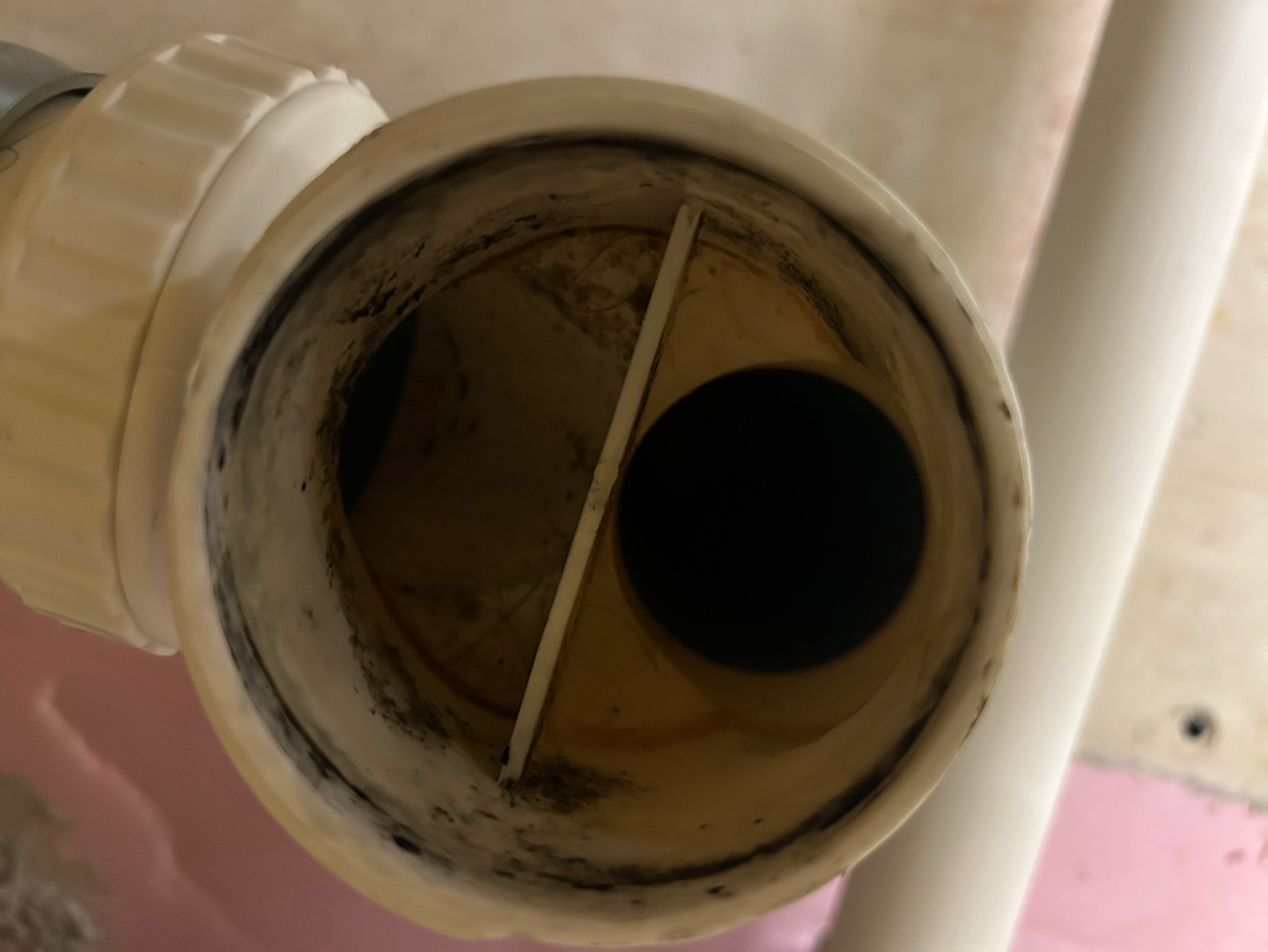 dccb29147d190.jpg