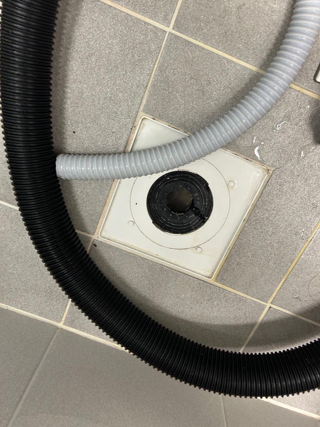 ea93291d8c619.jpg