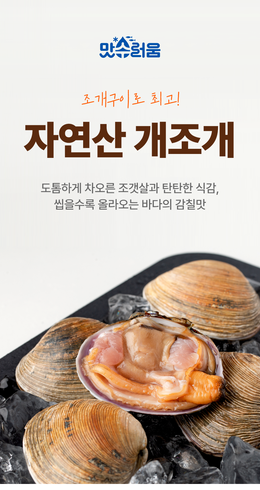 생물 대합 자연산 개조개 1kg